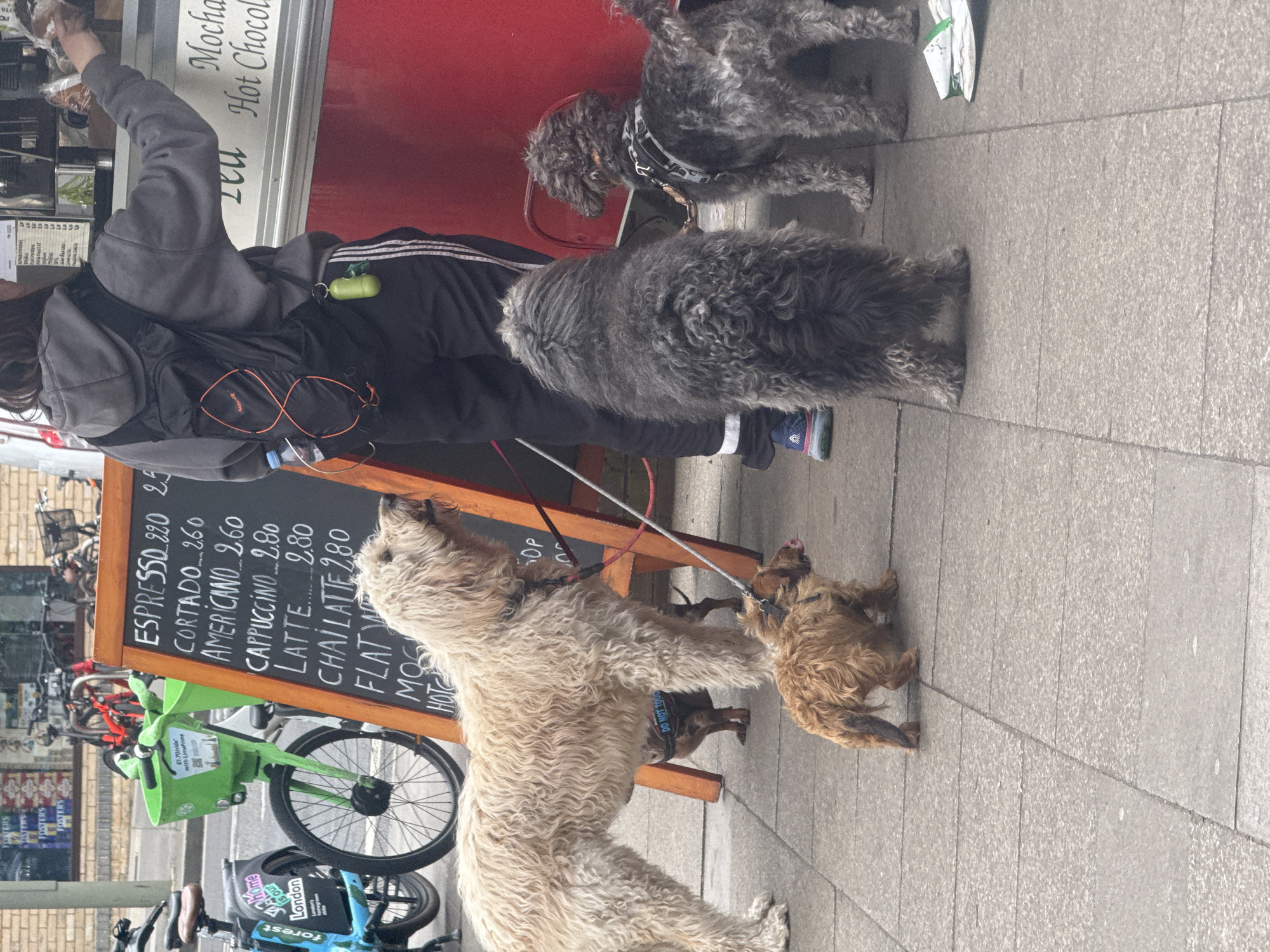 Dog walker spotted with four dogs on London street