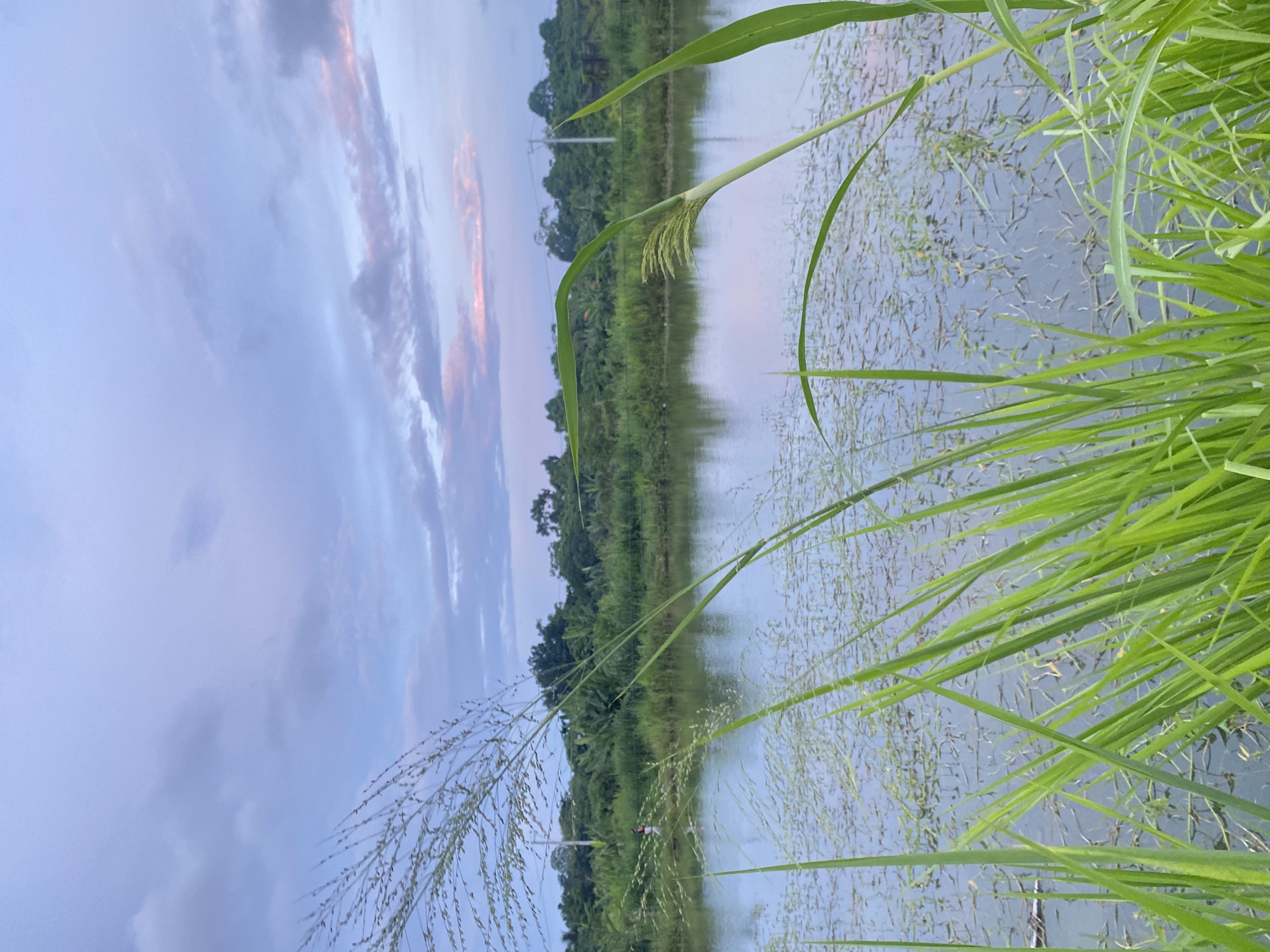 Evening life documented across Davao City neighborhoods and parks