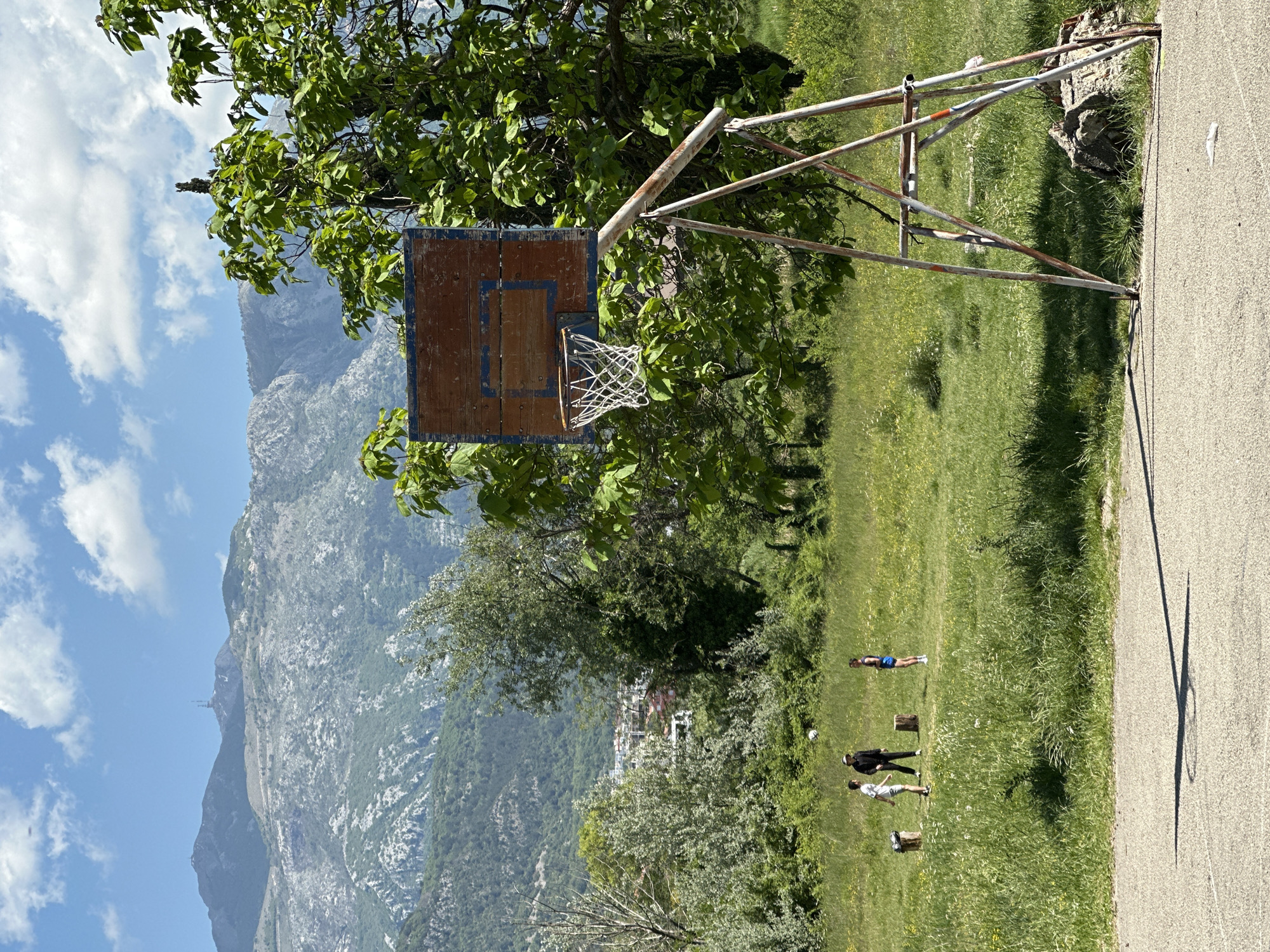 Basketball hoop spotted in grassy outdoor area in Tivat