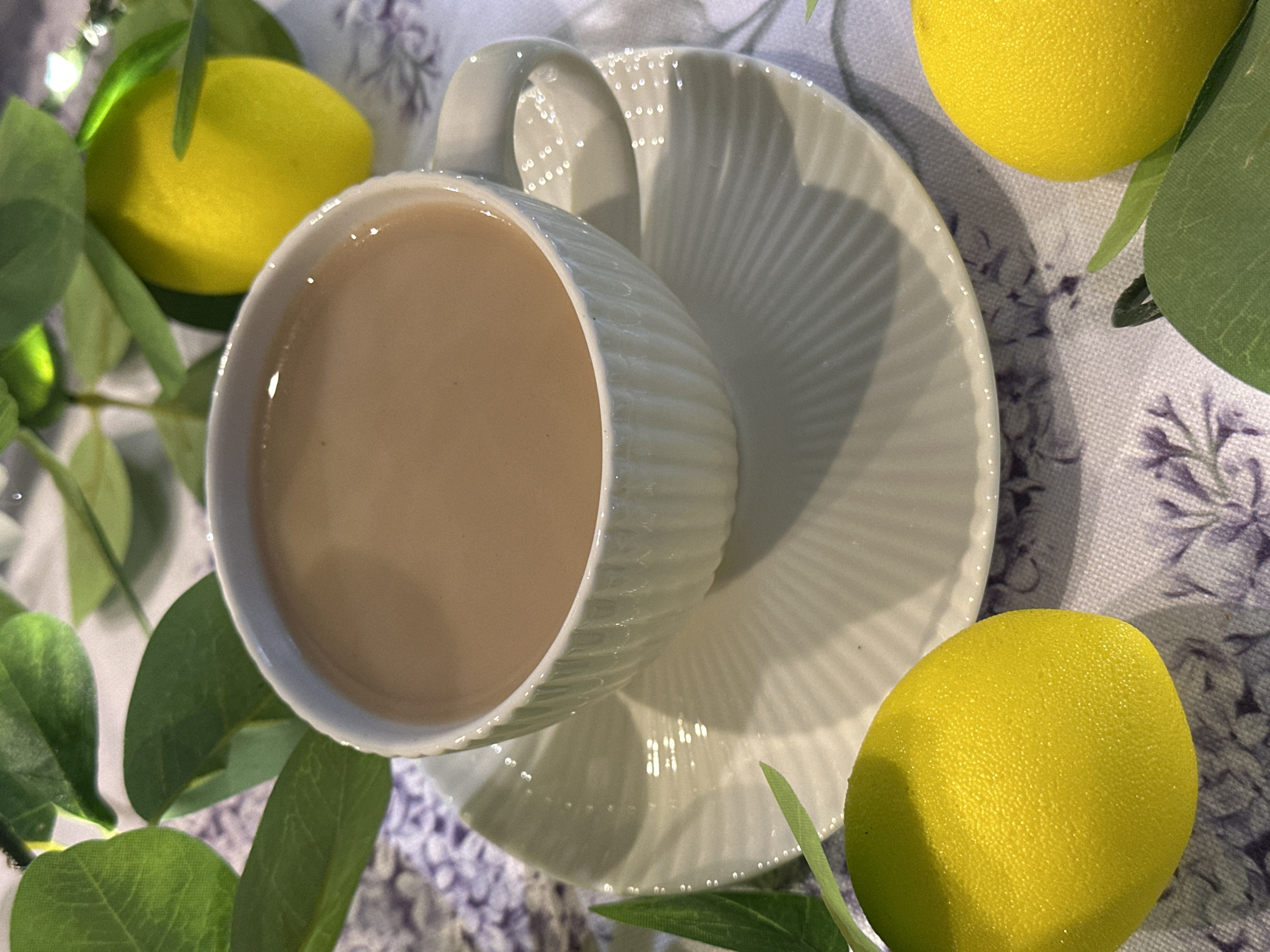 Teacup moment captured in Wisła, Poland