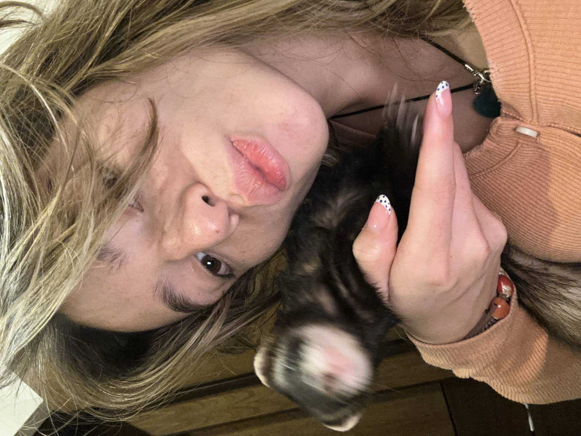 Ferret getting lots of affection in Puebla