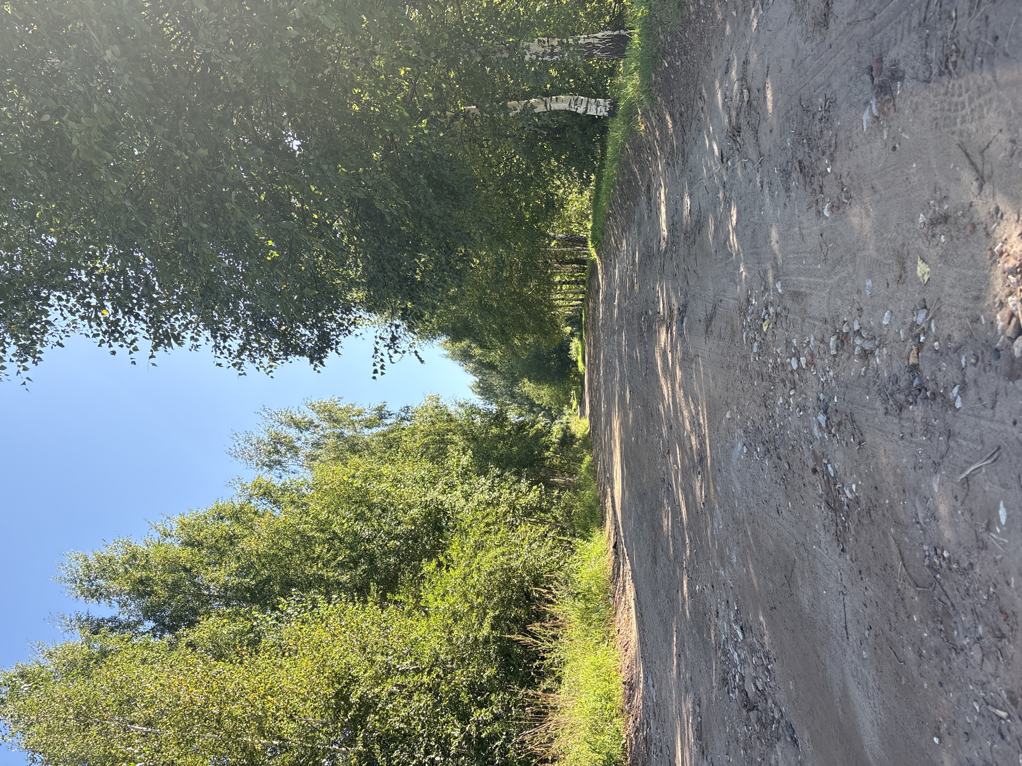 Late summer stroll through Overyata's rural roads and gardens