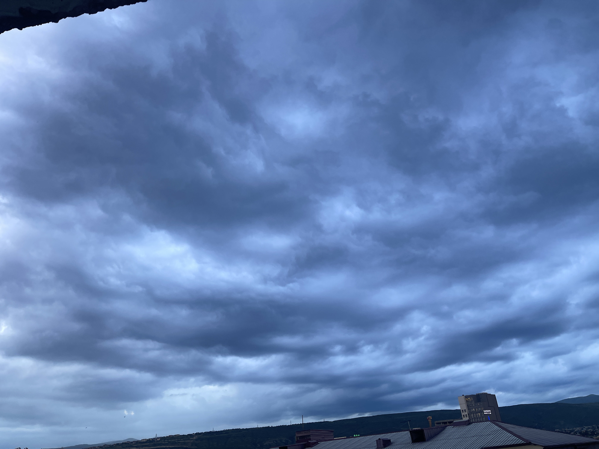 Tbilisi resident documents stormy evening with dog, art collections