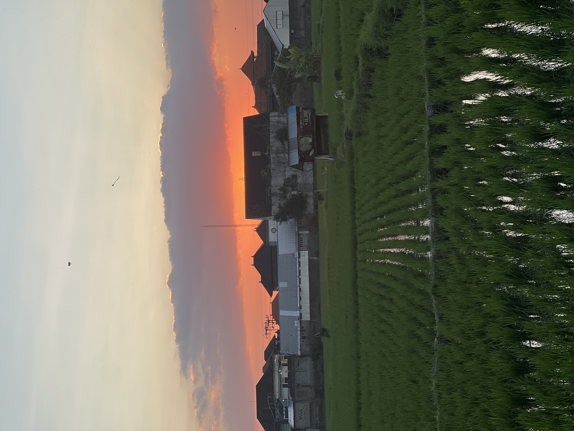 Green rice paddies meet a warm sky in rural Mengwi