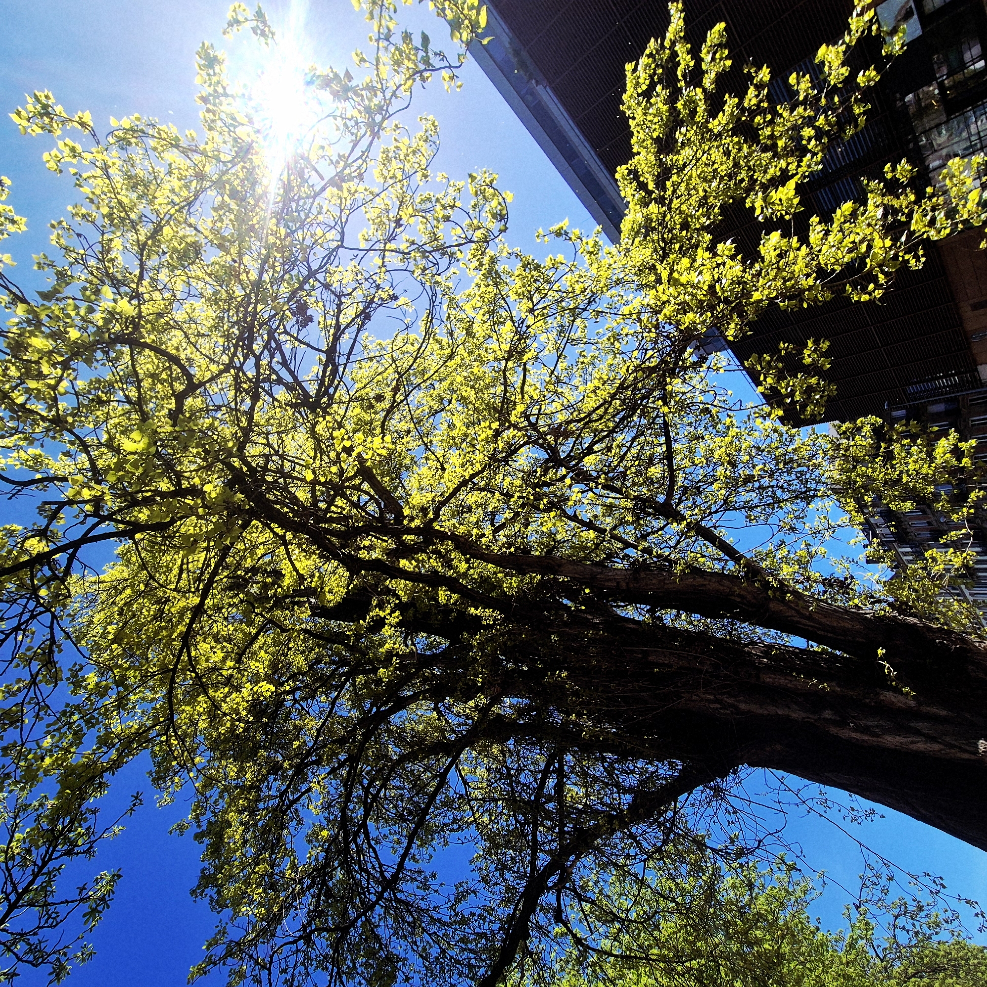 Spring morning walk documented through central Strasbourg