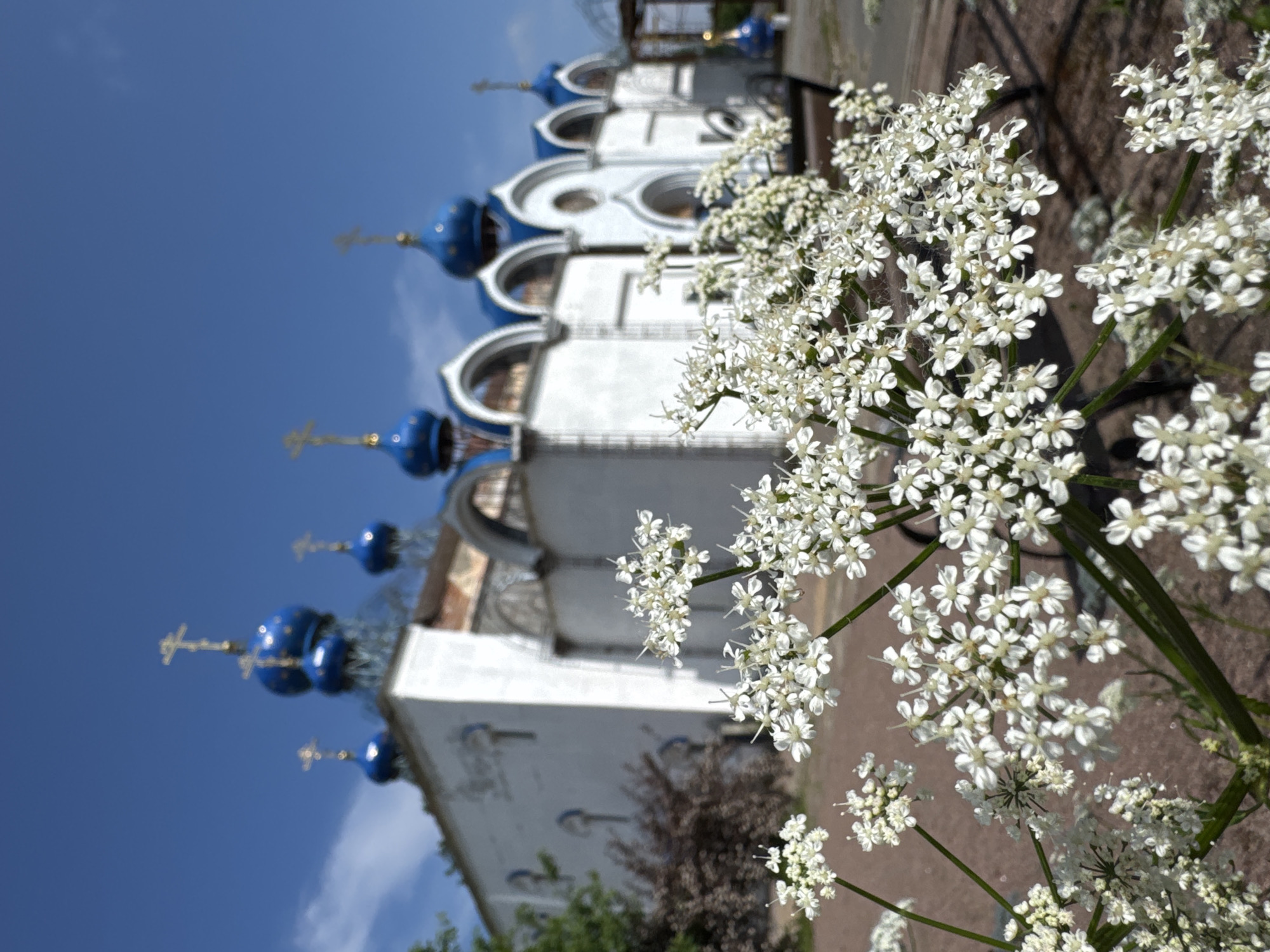 Orthodox church with blue domes photographed in Tosno, Russia