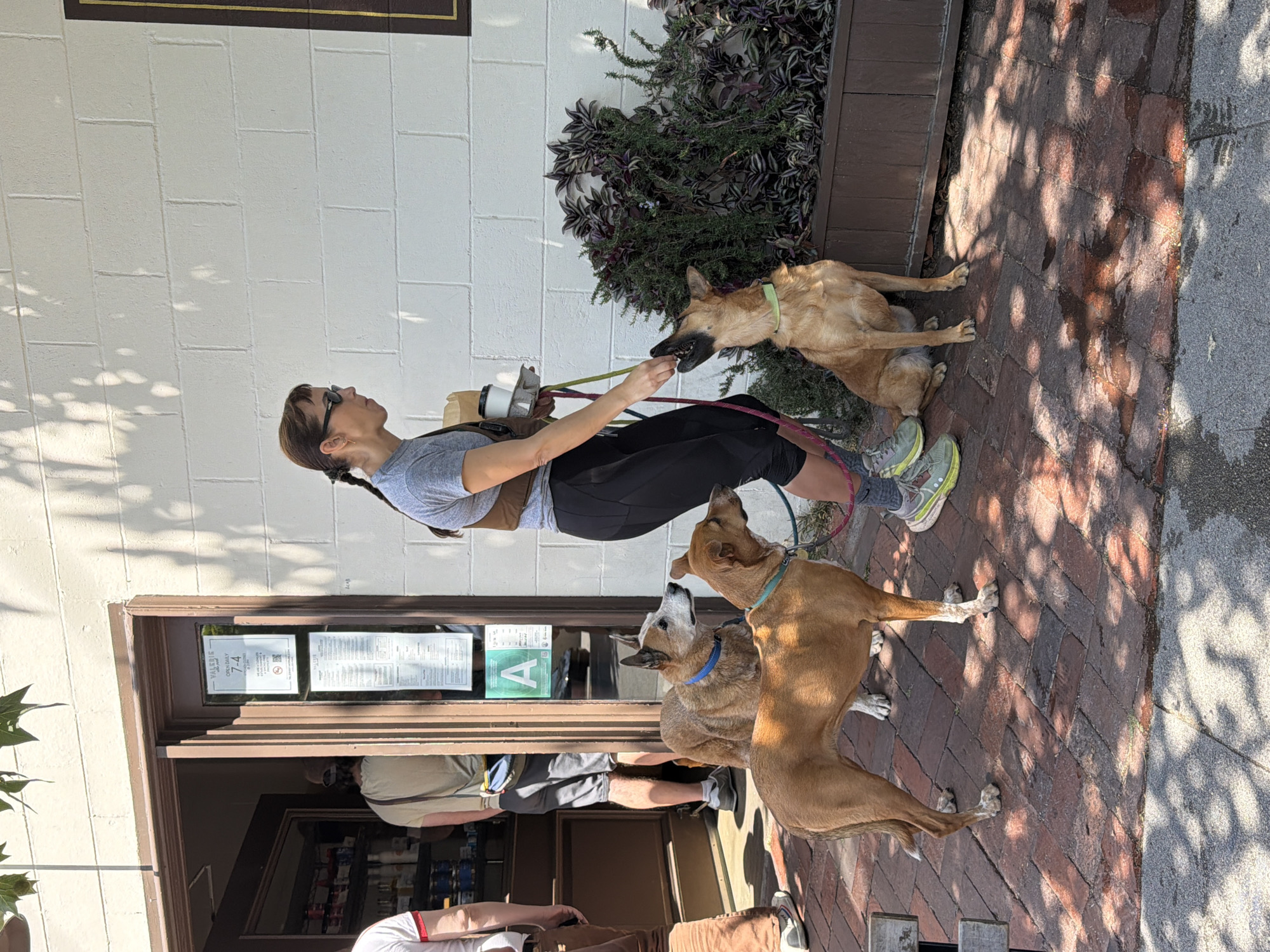 Woman walks three dogs in downtown Los Angeles