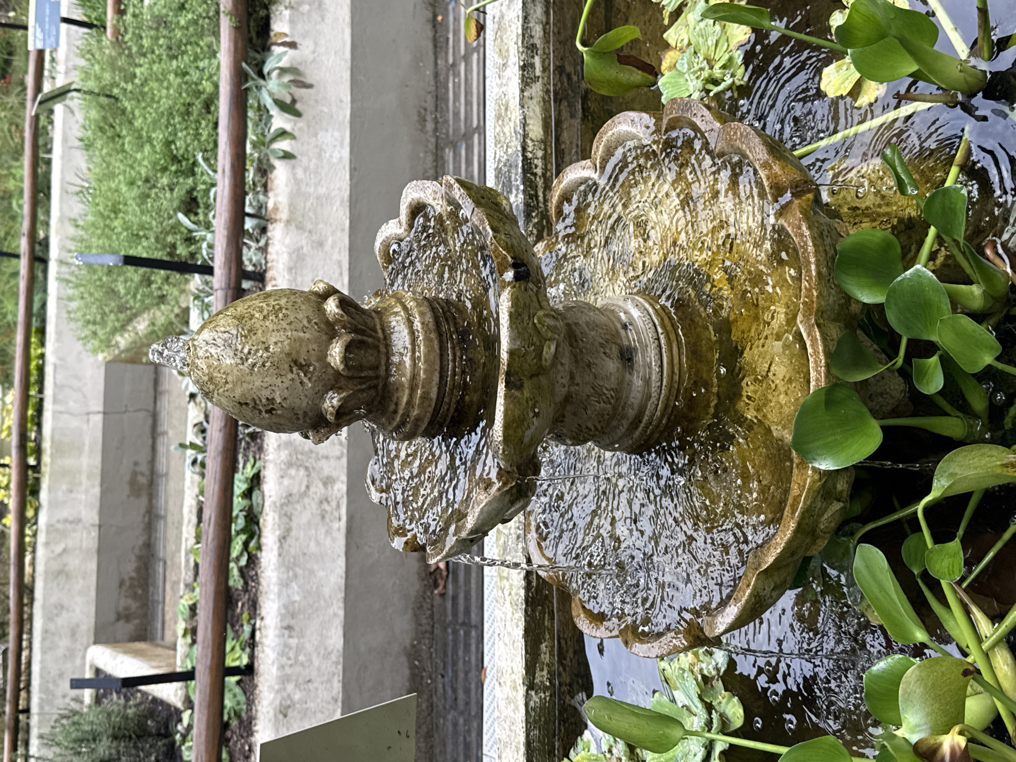 Botanical garden tour documented in Rio de Janeiro