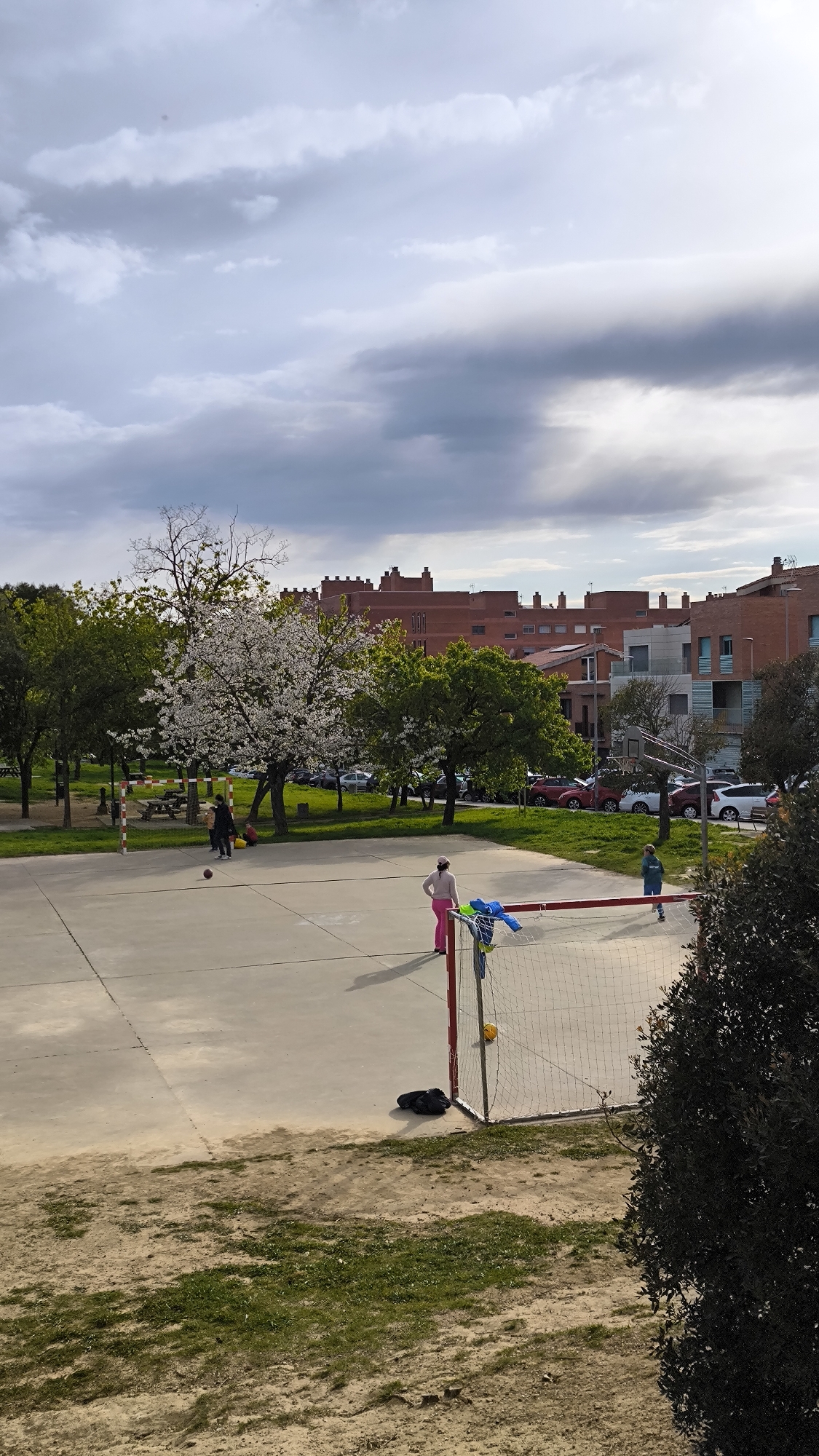 Afternoon recreation at Ripollet park with soccer and dogs