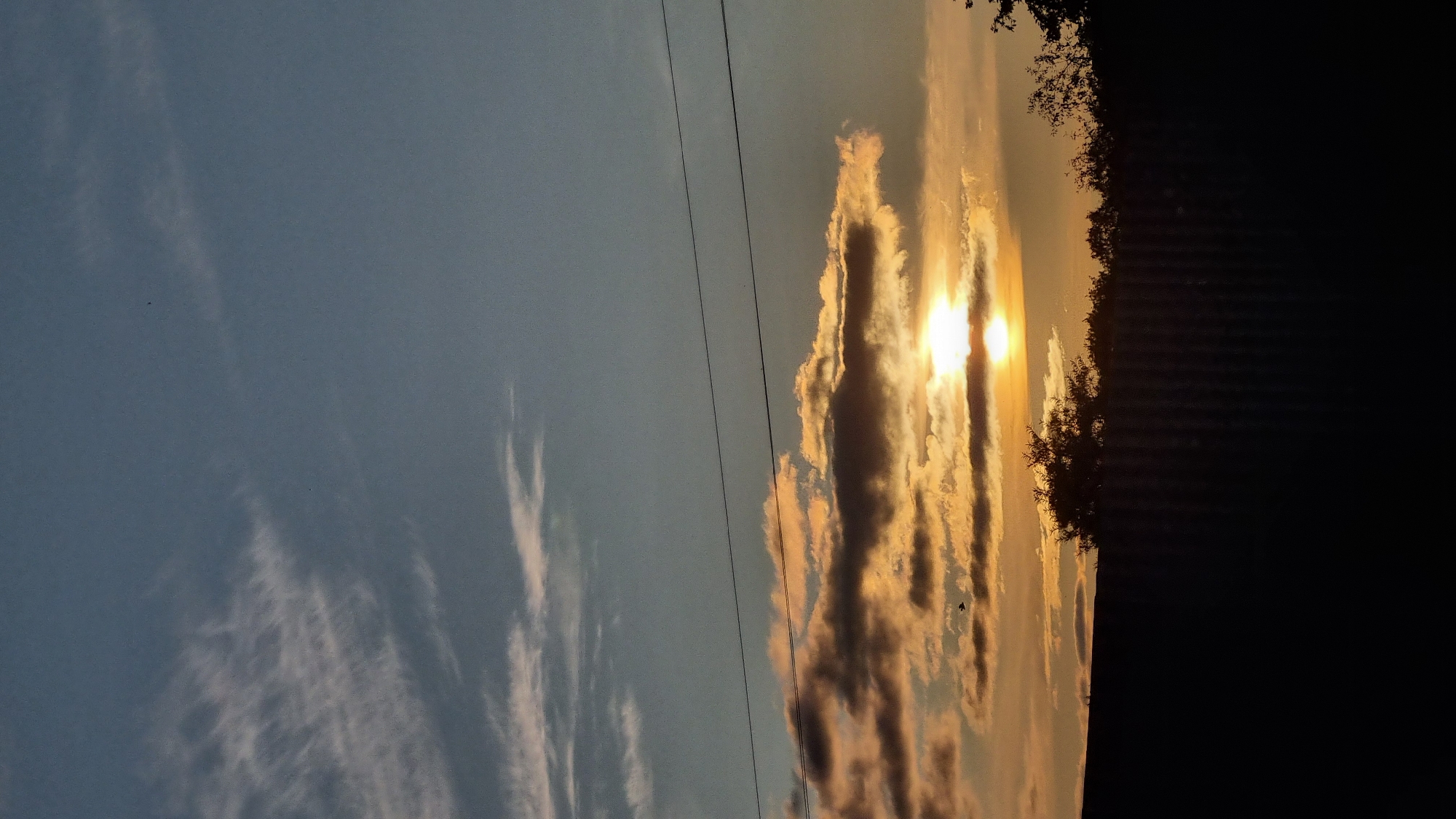 Backyard sunset watch: cats, spiders, and sky phenomena