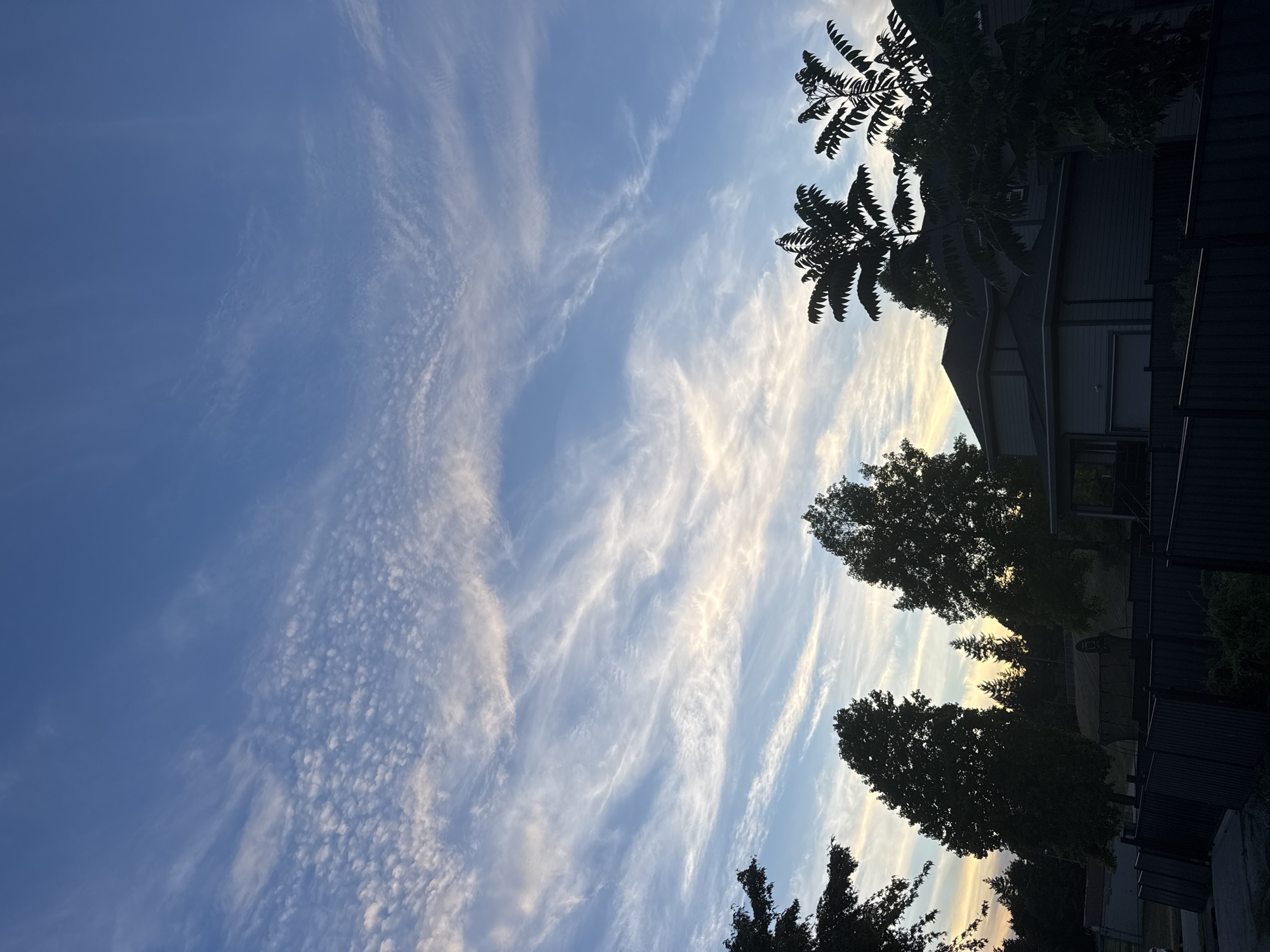 Coquitlam suburban streets and backyards at dusk