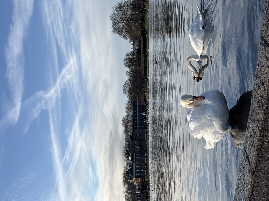 Daytime scene captured at Kensington Gardens Round Pond