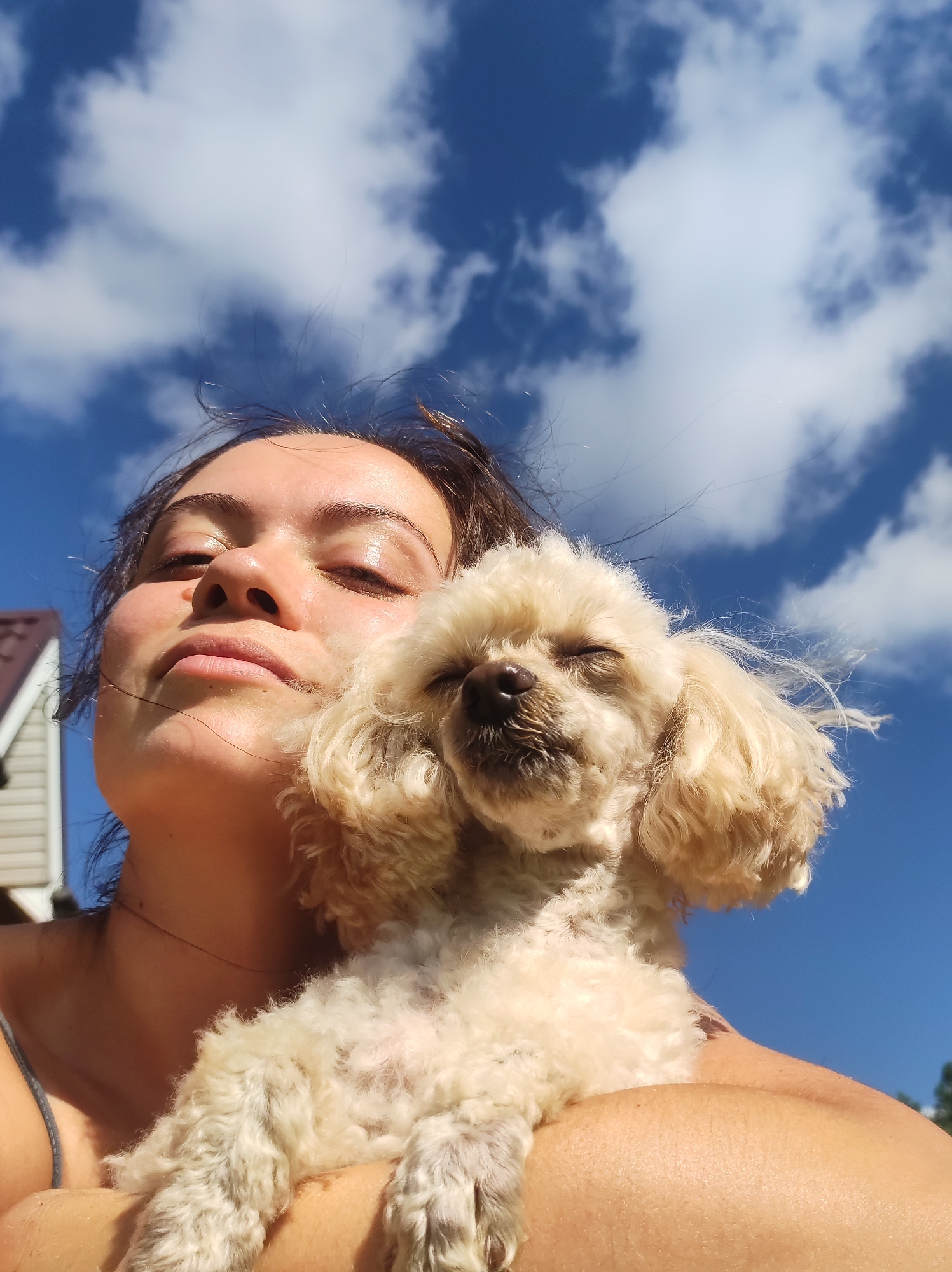Backyard afternoon in Fokino: poodles, blue skies, and leisure