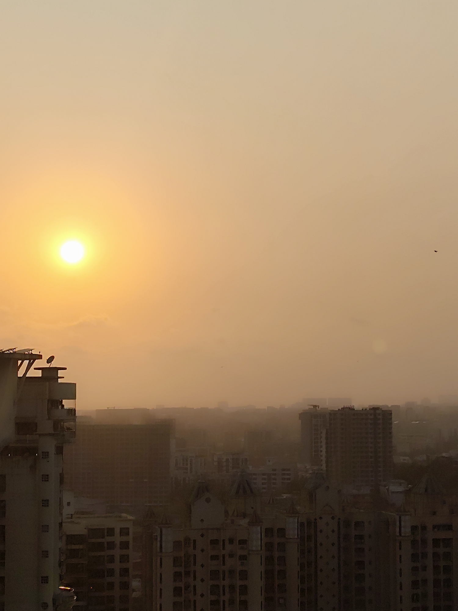 Mumbai residents document urban views and calico cat sighting