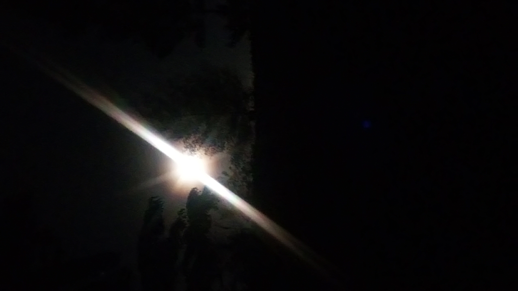 Bright light observed through vegetation in Ndeiya, Kenya