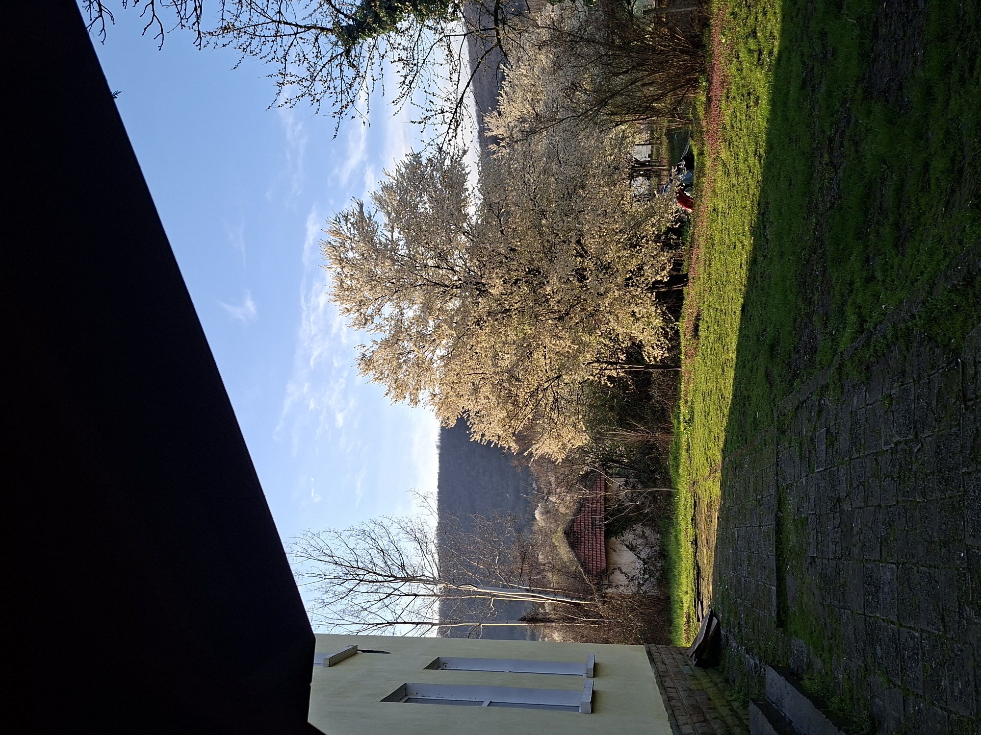 Outdoor scene captured in Rebarkovo showing architecture and nature