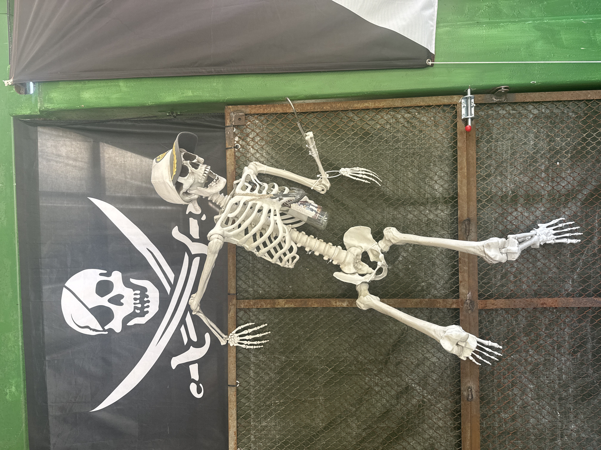 Skeleton in baseball cap spotted in Lukovit, Bulgaria