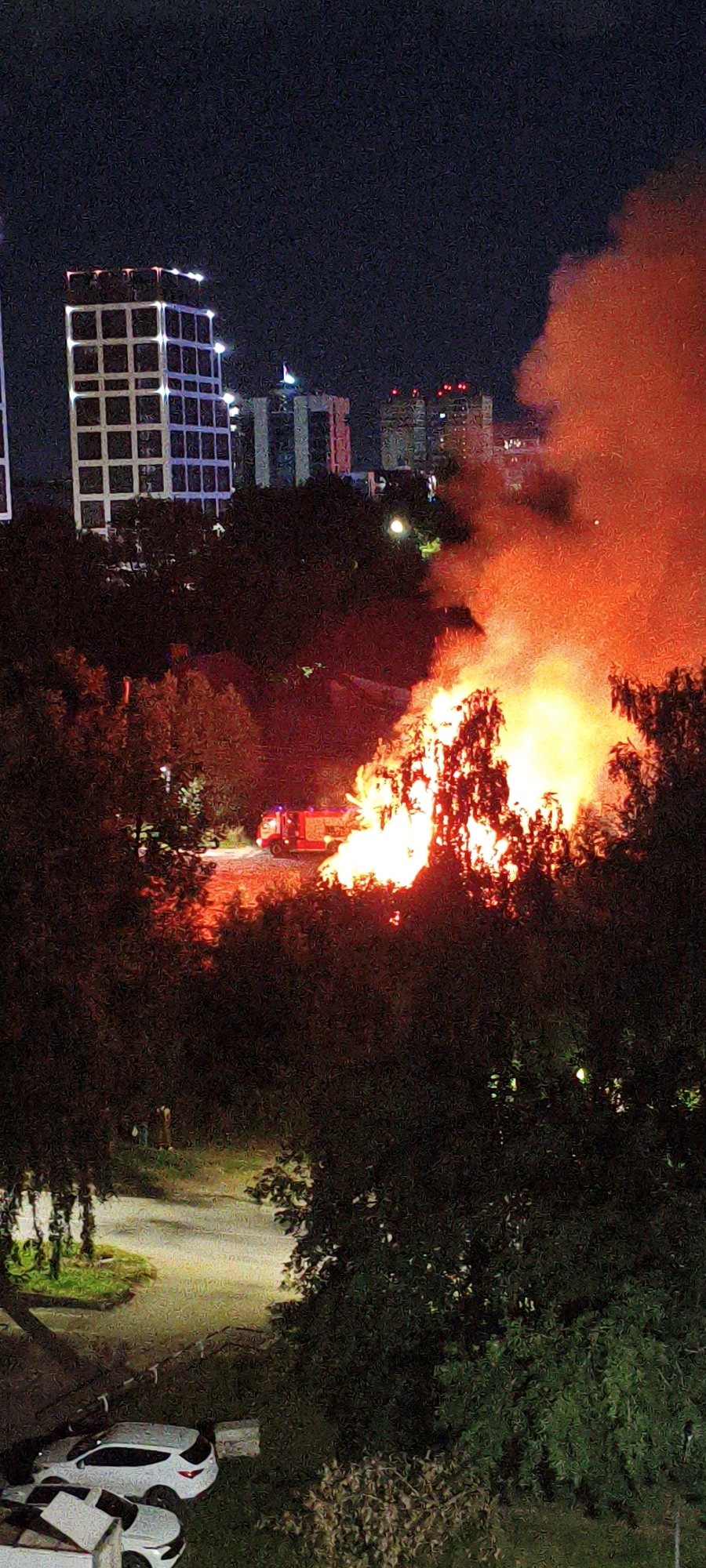 Large nighttime fire burns through treed area in Izhevsk