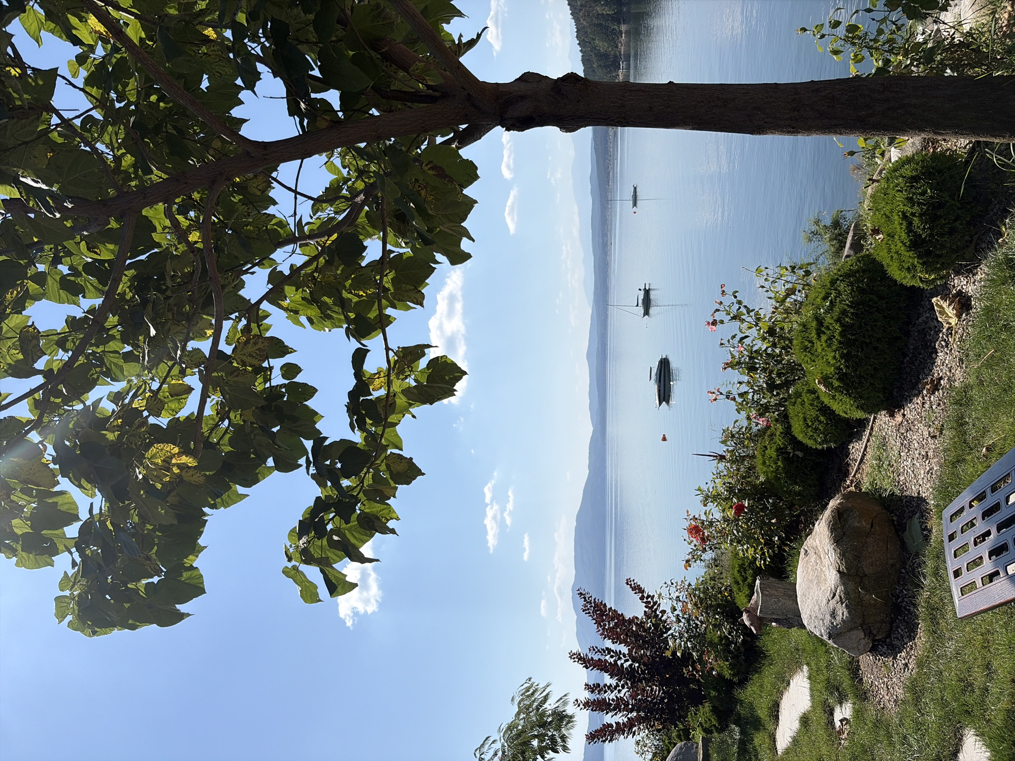 Calm lakes and bays under clear summer skies