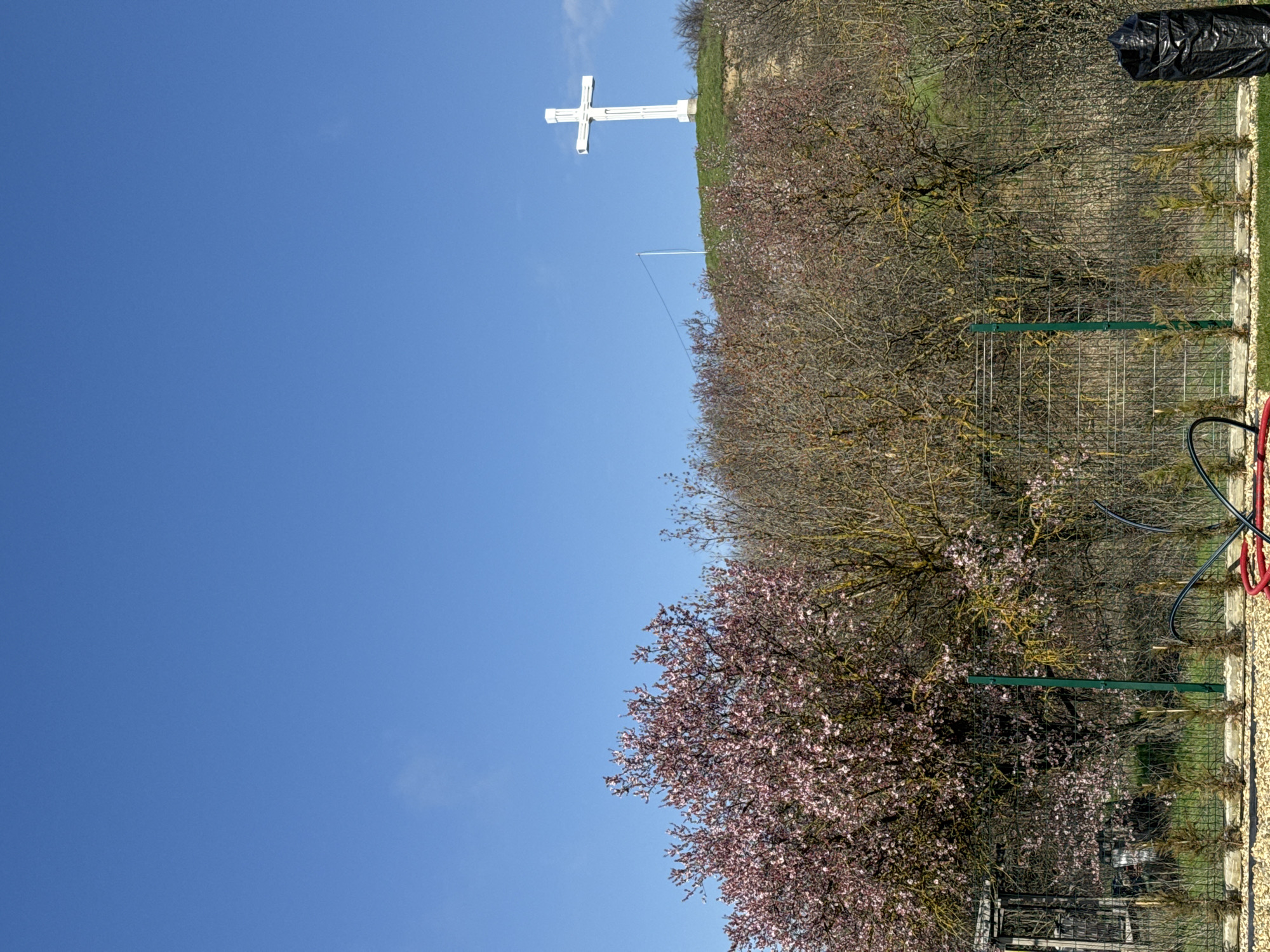 White cross monument observed amid spring blooms in Varna