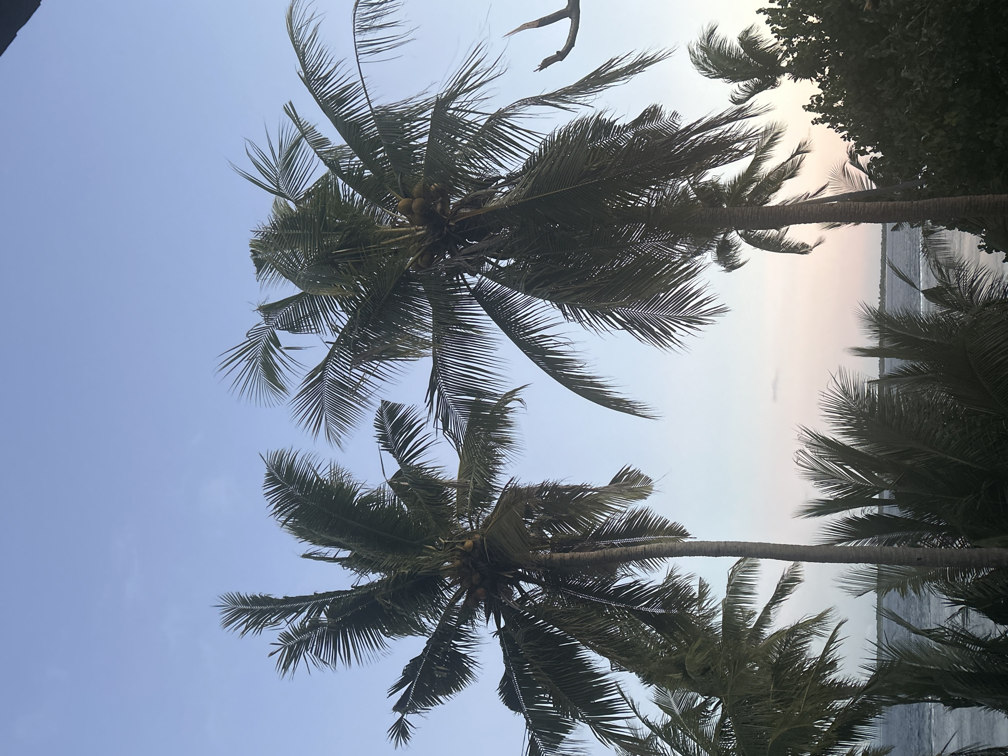 Tropical beach at Ara from afternoon into night