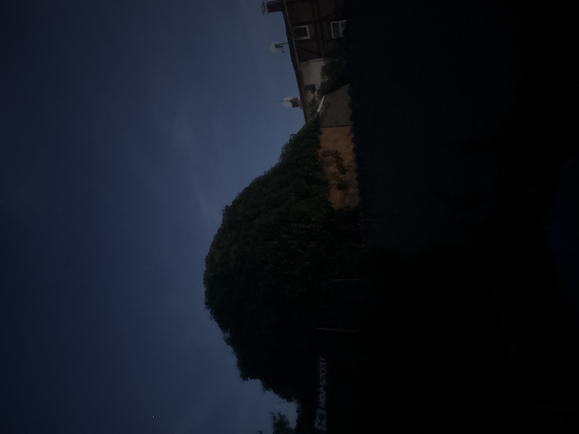 Moonlit night, rooftops, clouds, and an embroidered deer