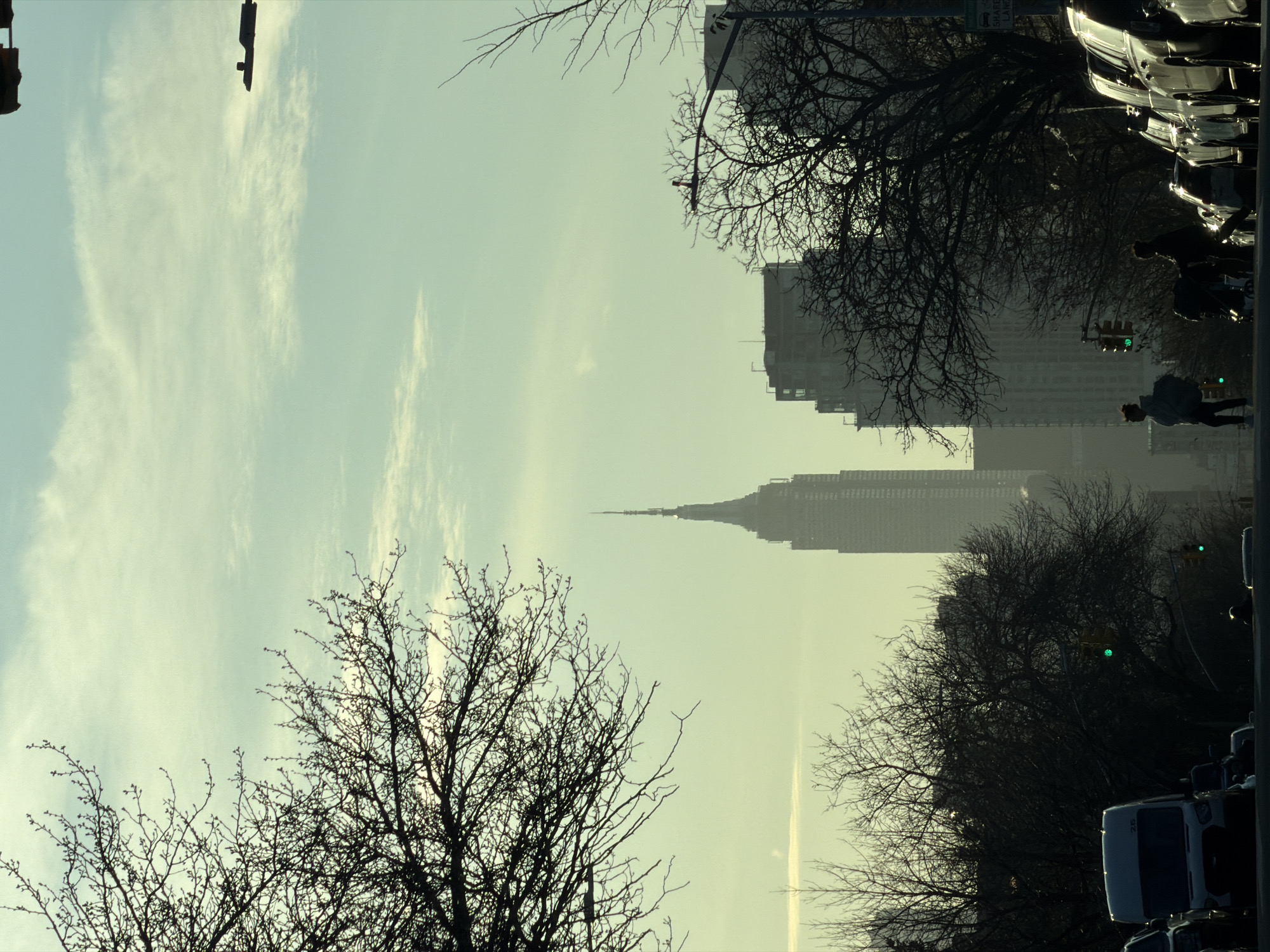 Manhattan skyline view captures Empire State Building through bare trees