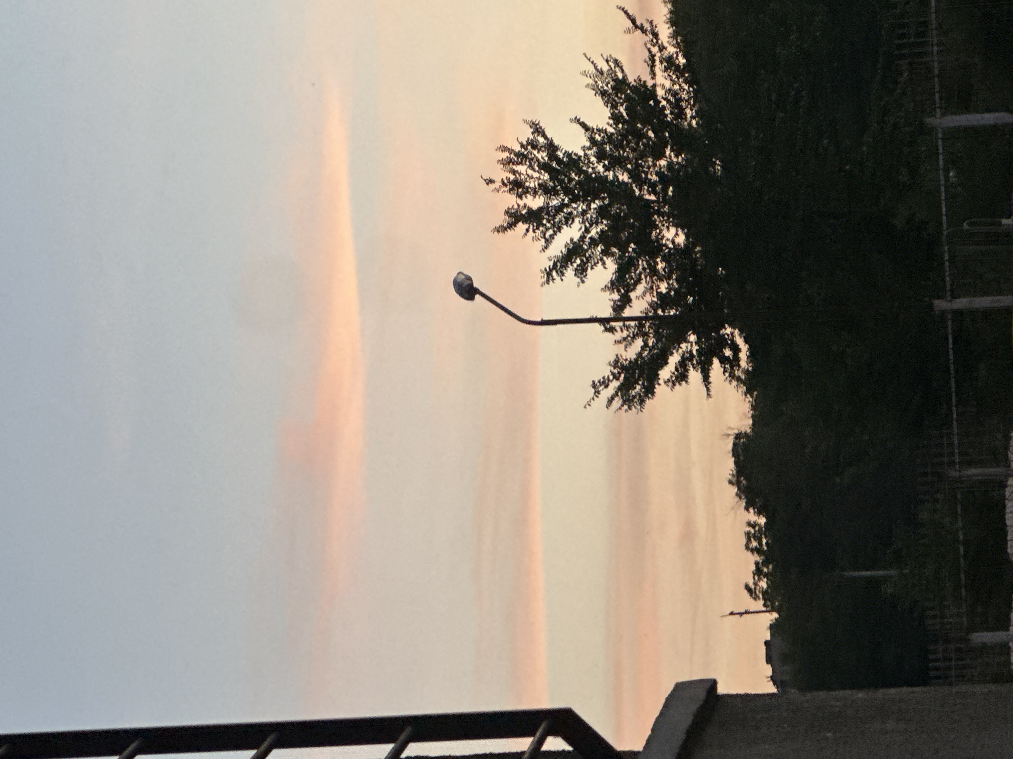 Evening sky with orange streaks photographed near tree and streetlight