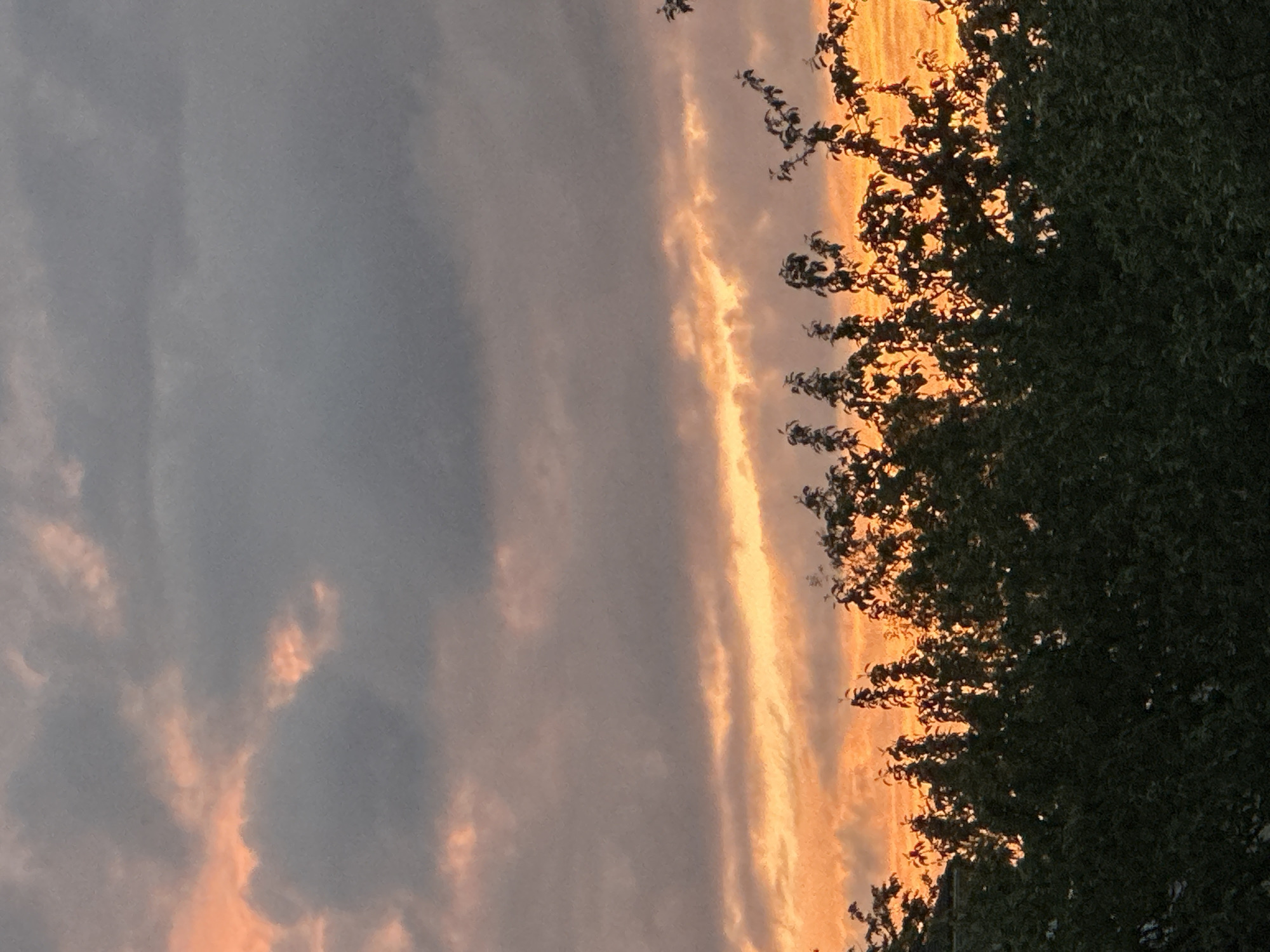Sunset sky observed over Nizhny Novgorod residential area