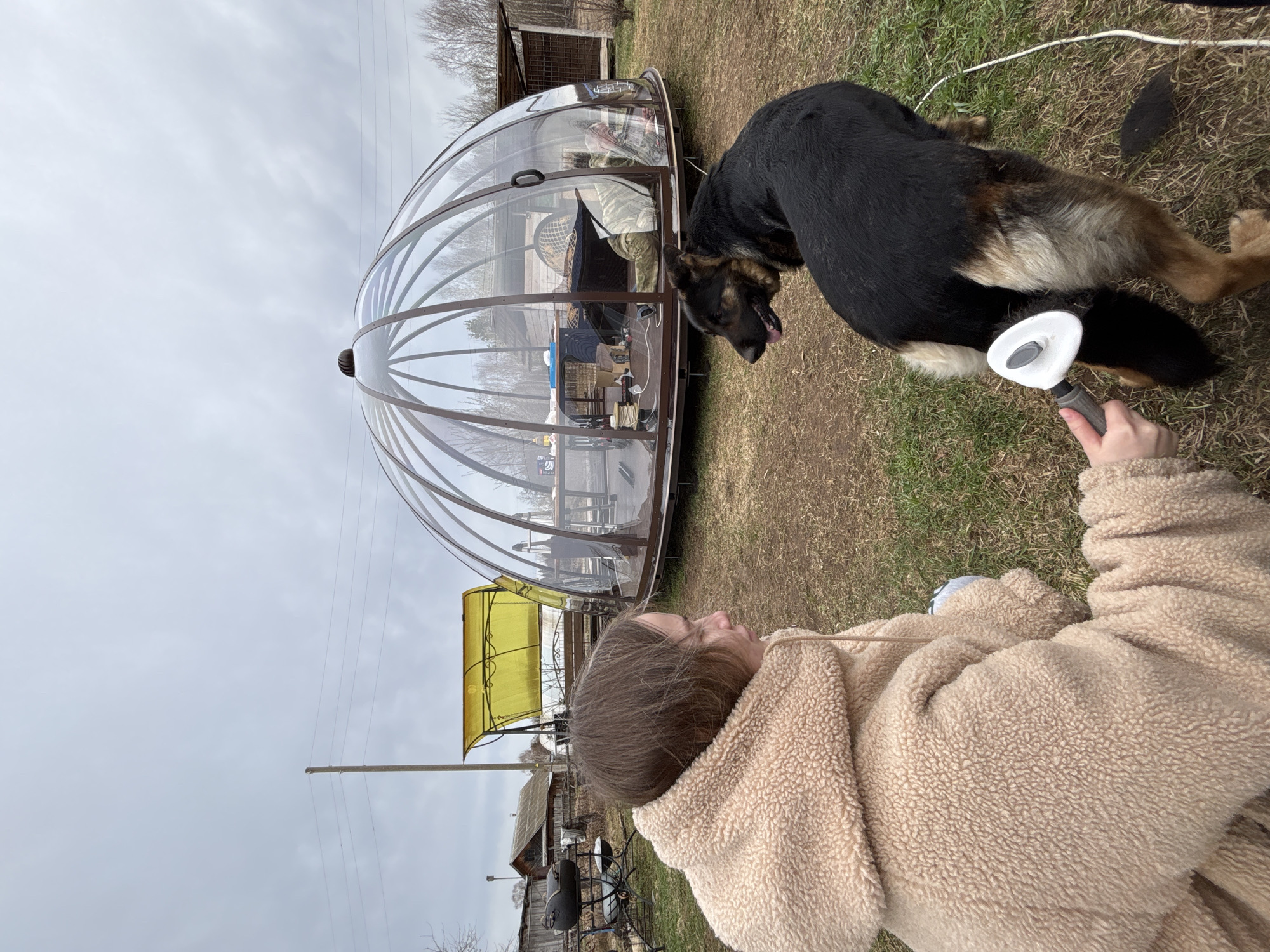 Dog grooming session documented in Zhigalki, Russia