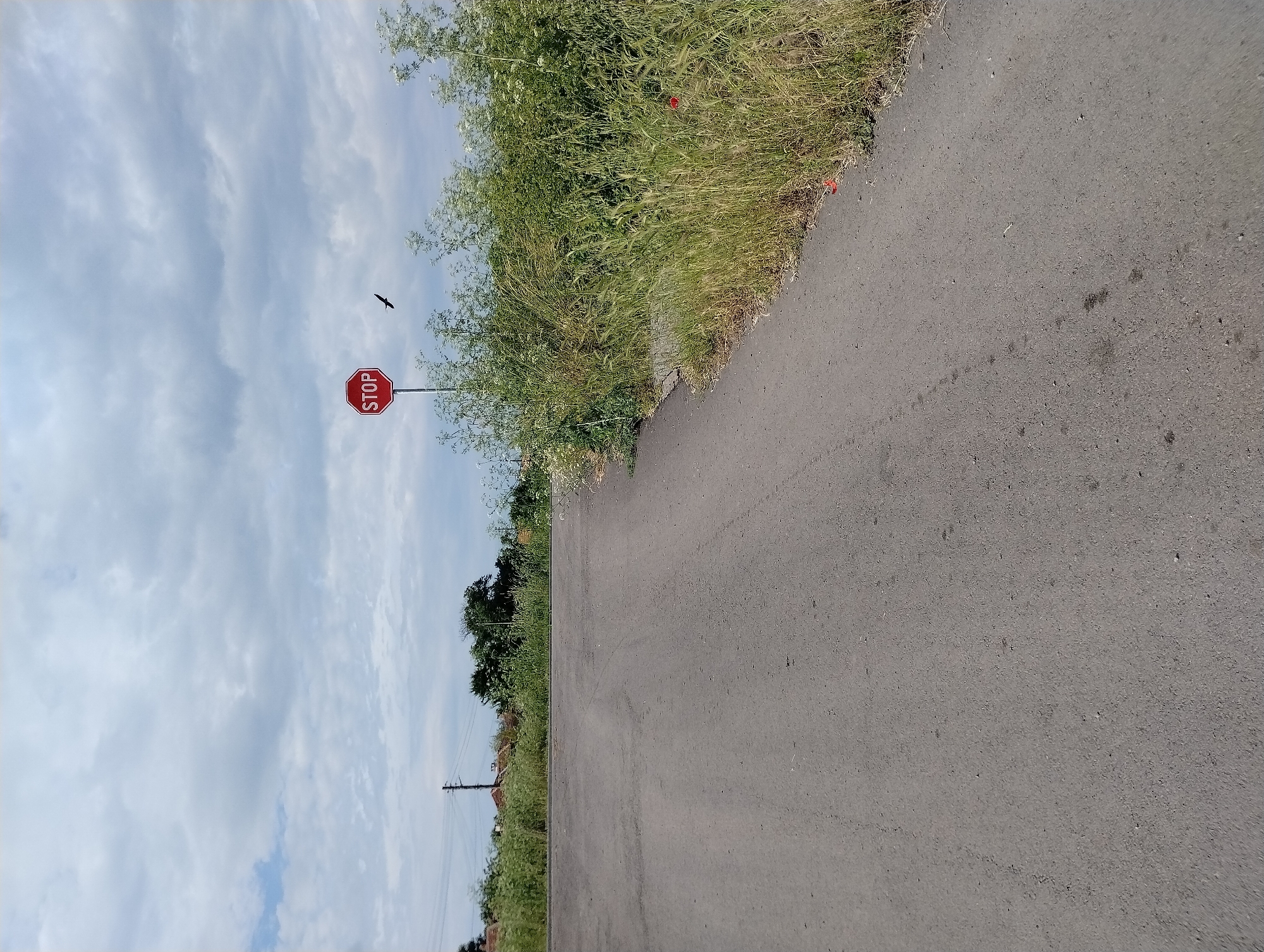 Rural road and grassland documented in Roza, Bulgaria