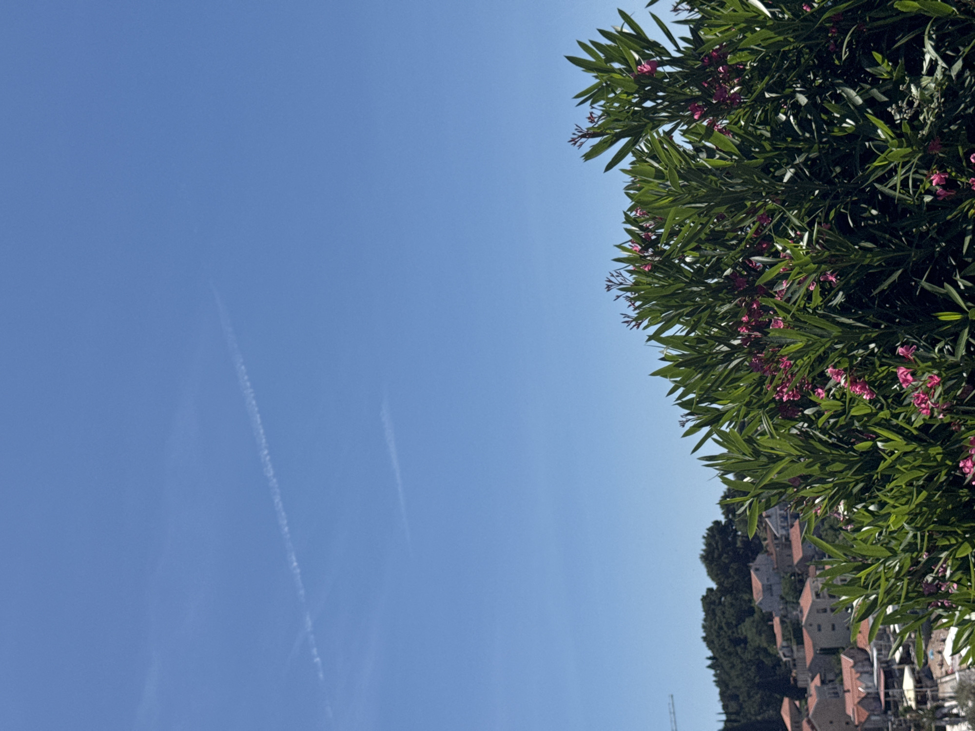 Clear skies and spring blooms observed in Montenegro