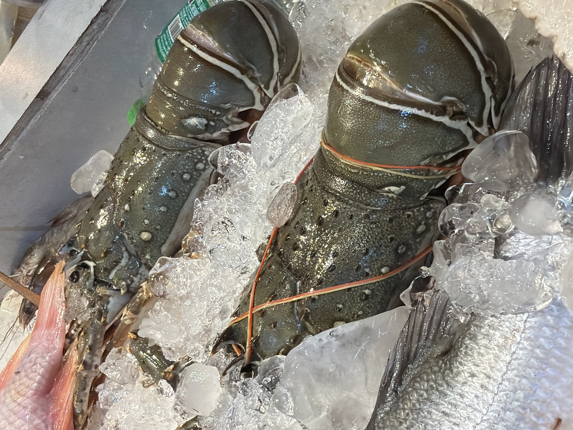 Ko Samui market and boutique shopping: seafood, luxury goods, accessories