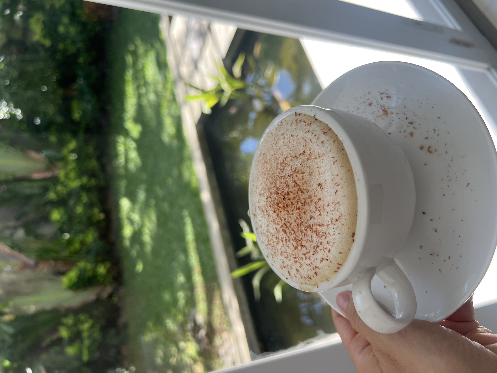 Late night domestic scenes: dog, garden pond, morning beverage