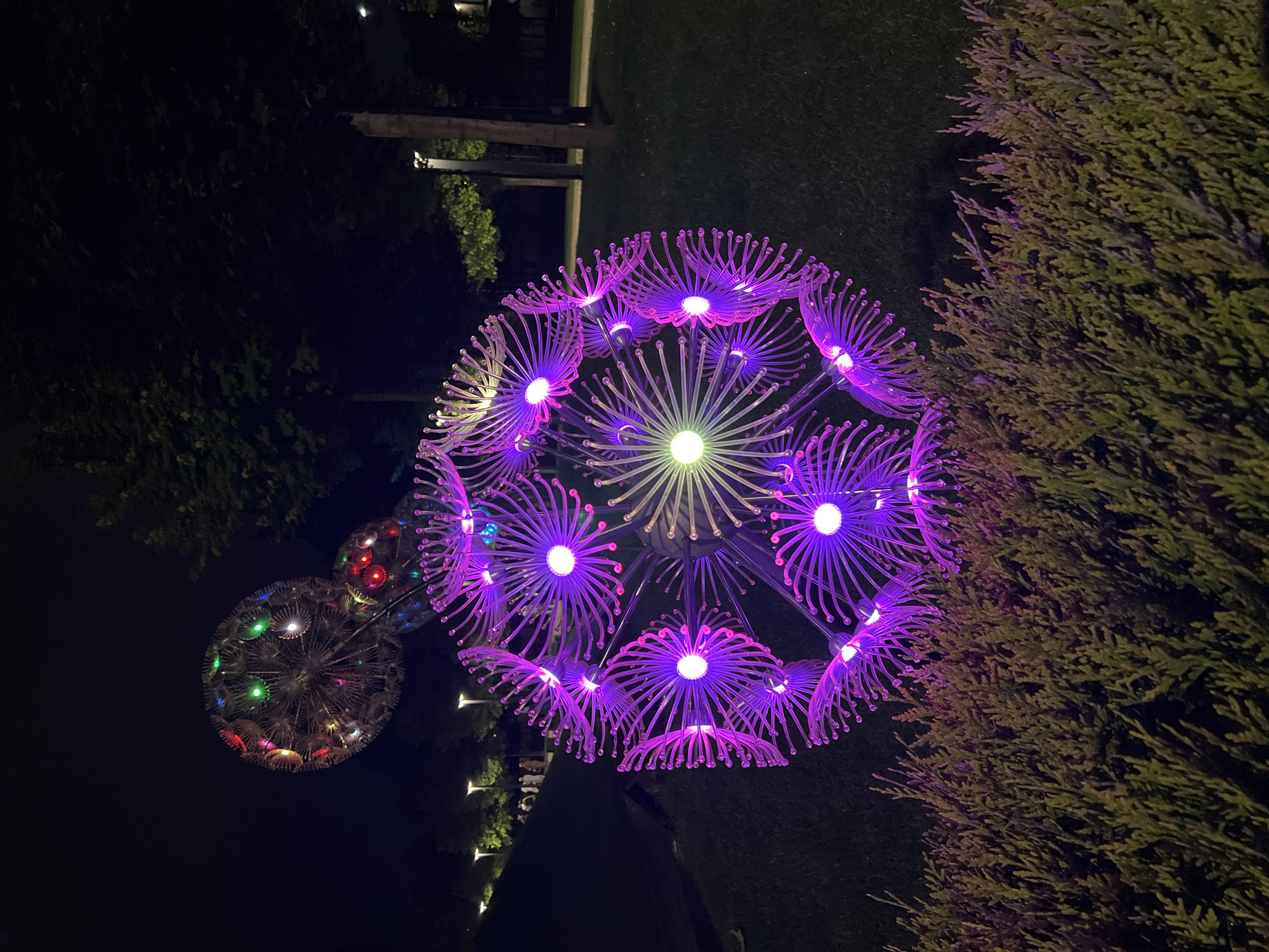 Illuminated dandelion sculptures light up Krasnodar park walkways