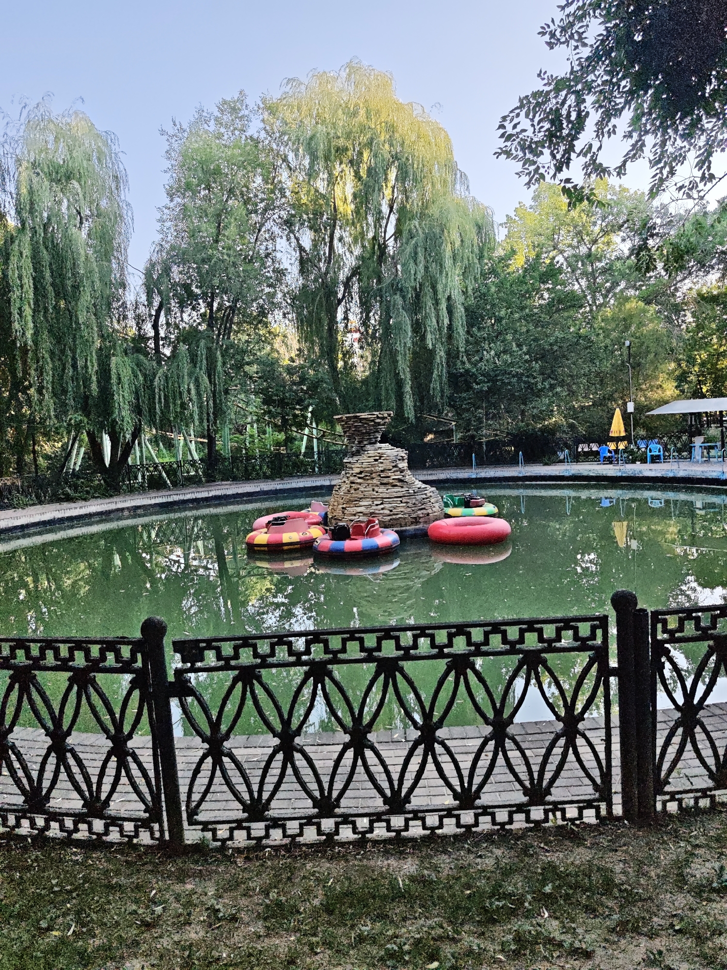 Quiet park stroll with flowers, a pigeon, and a pond