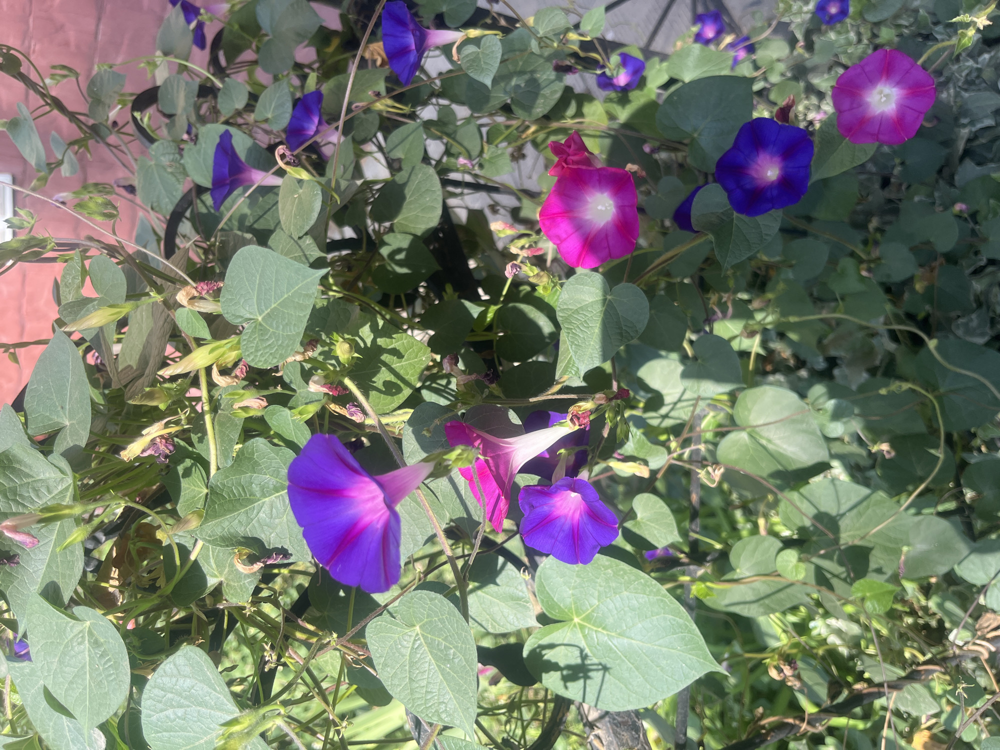 Tashkent, Uzbekistan