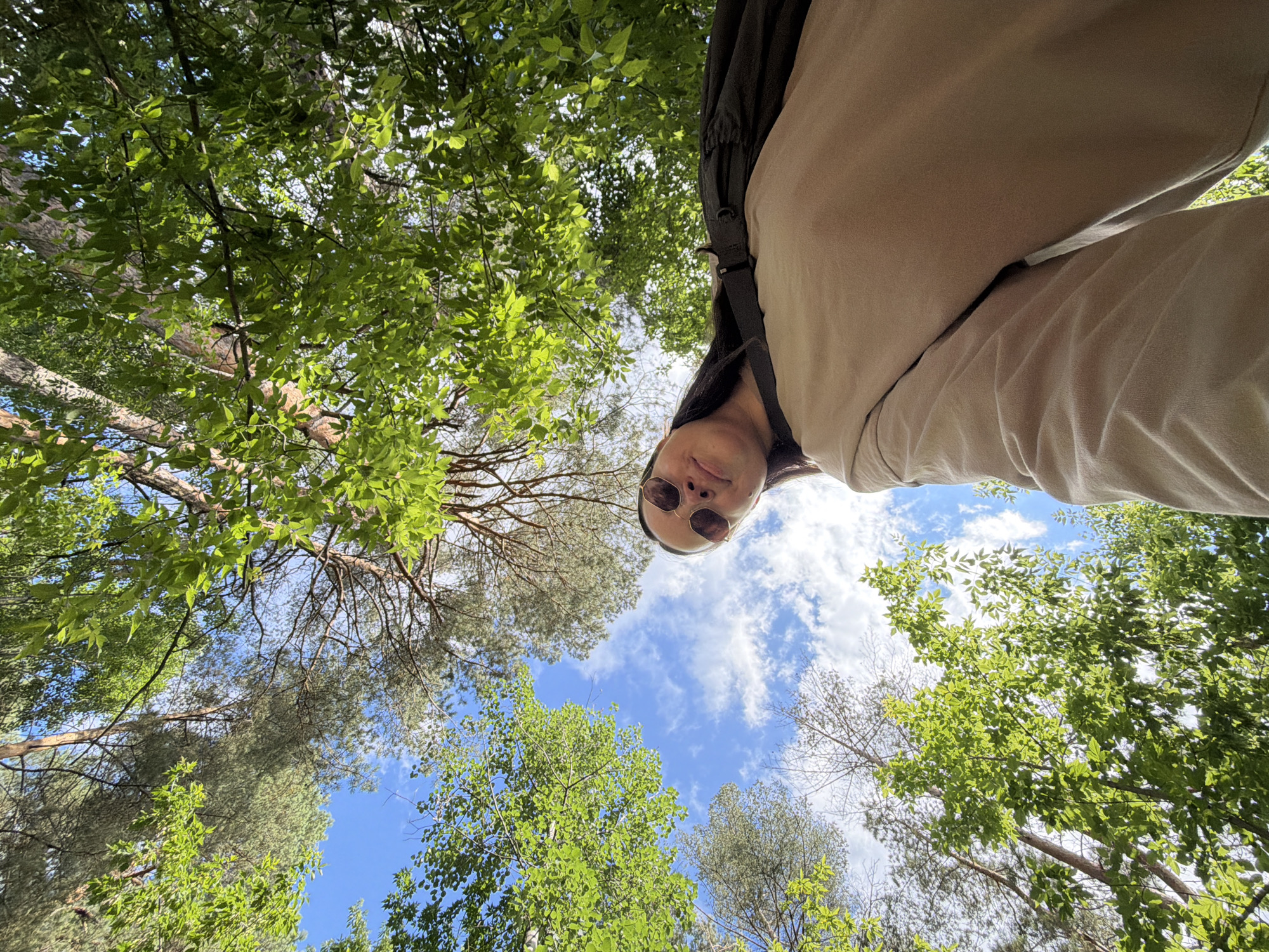 A summer day in Chaikovsky: forest walks, gas stops, strawberries