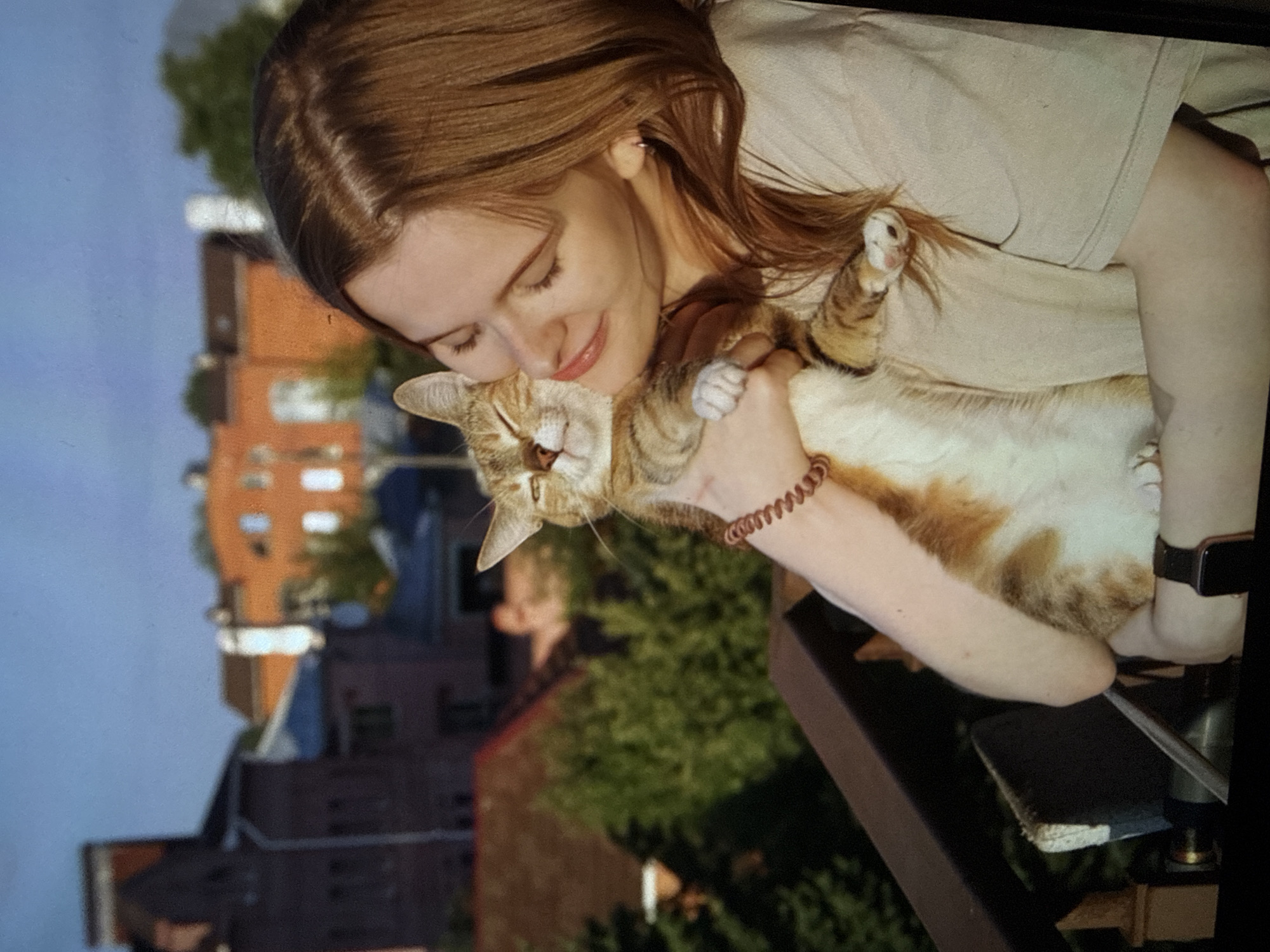 Cat moments documented across Vologda apartments during evening hours