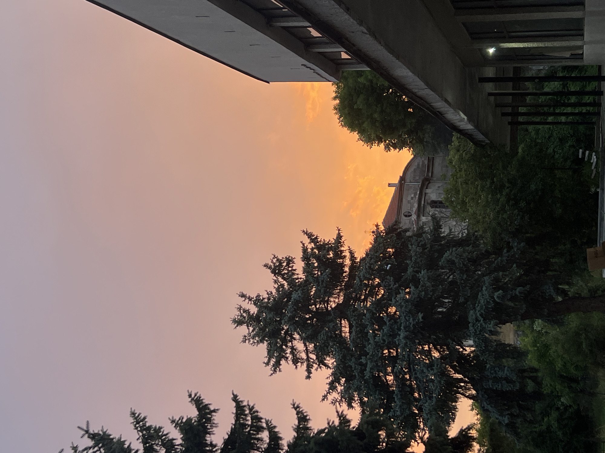Evening moments captured across unknown locations during sunset hour