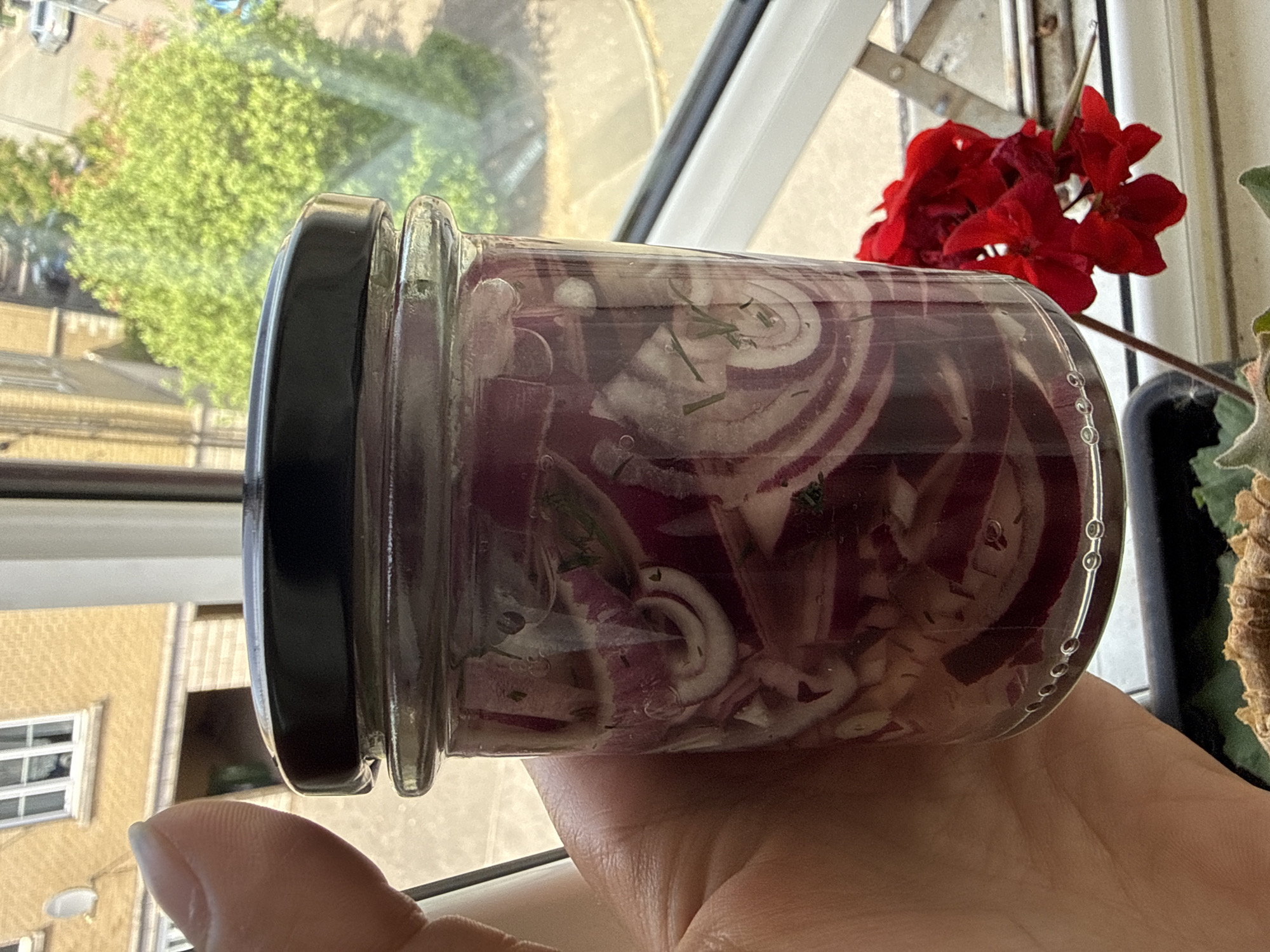 Person displays pickled onions jar near window in Great Yarmouth