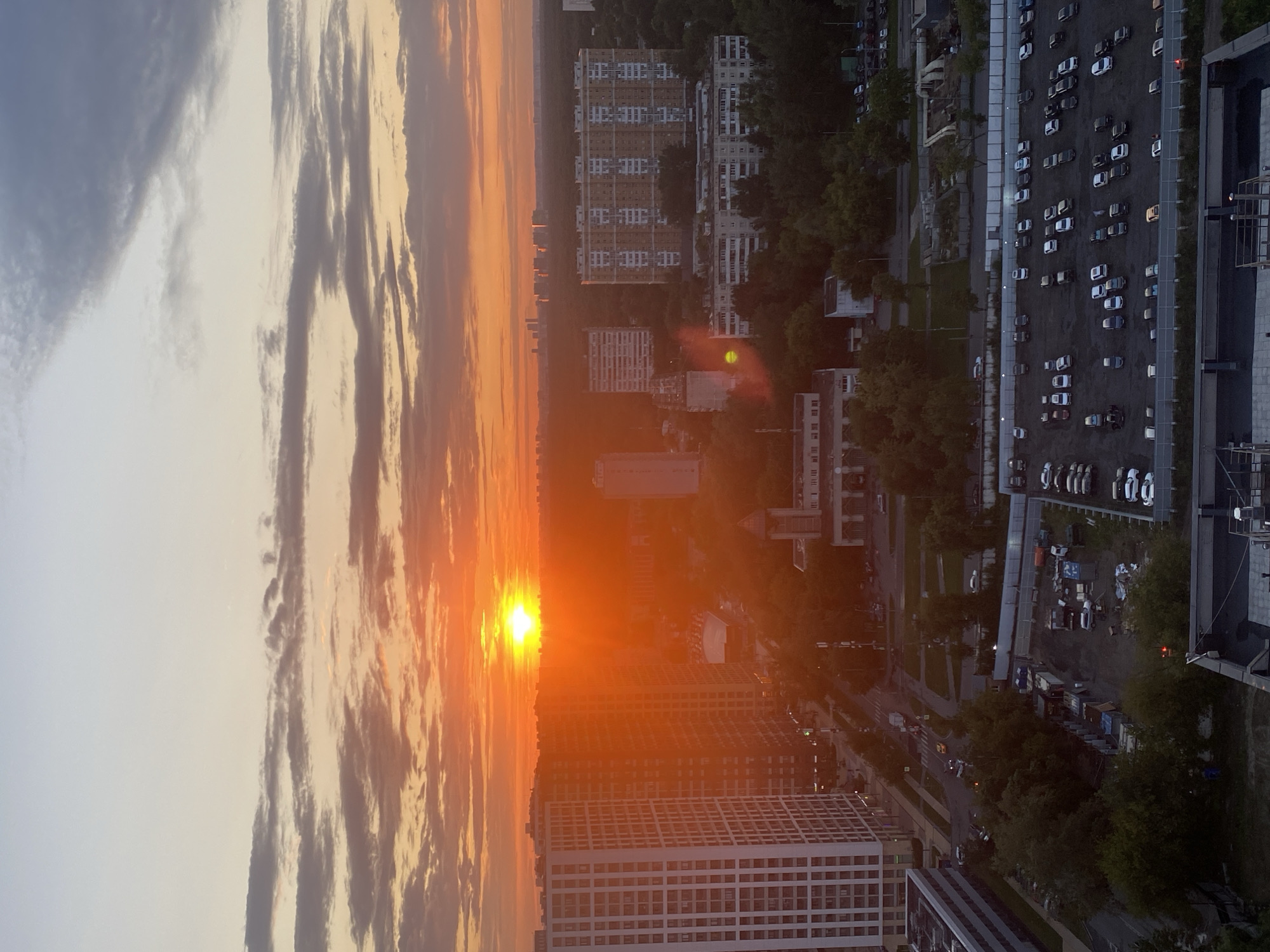 Moscow sunset, indoors and out, with a parrot in frame
