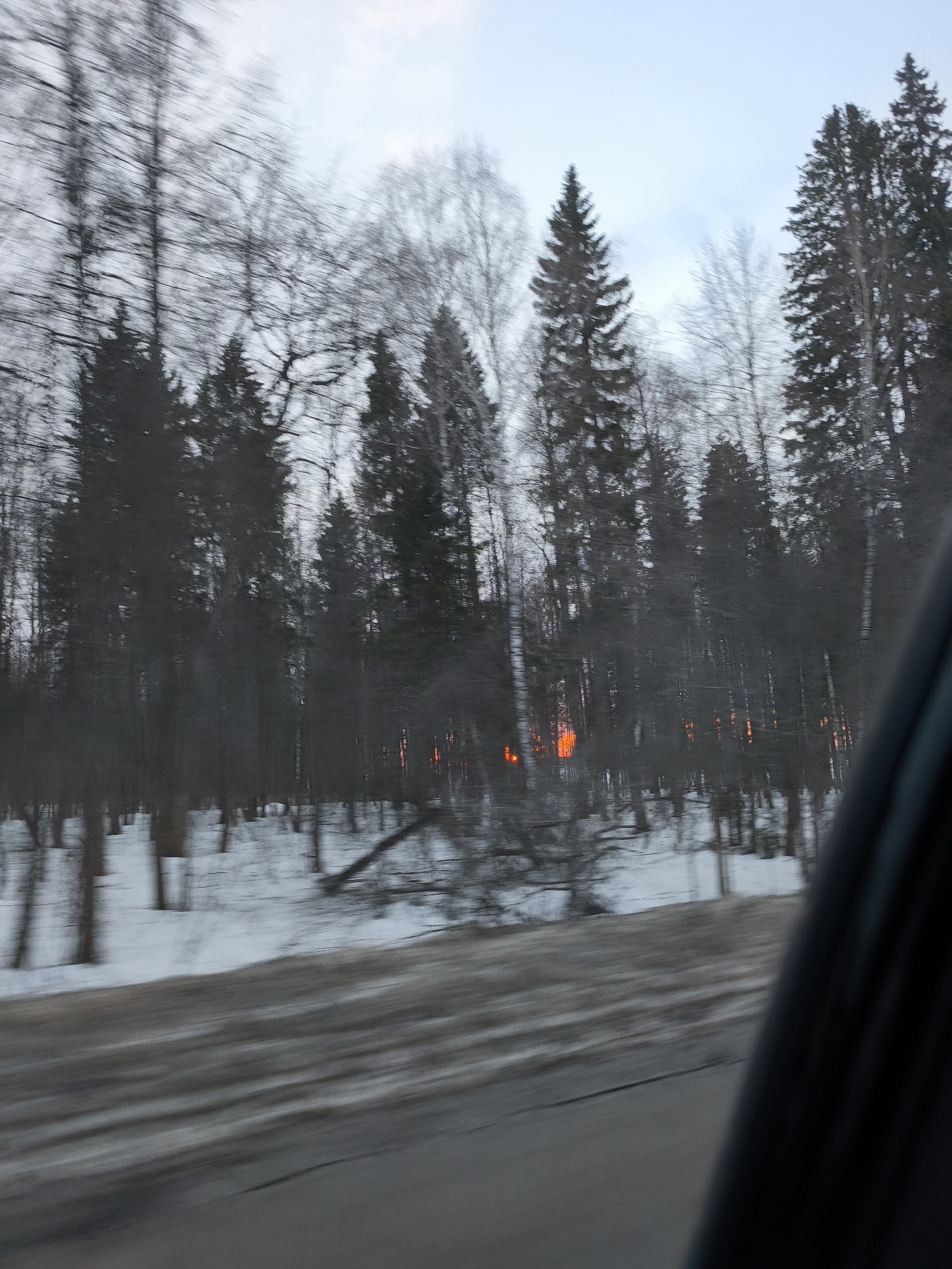 Snowy roadside forest captured from vehicle in rural Russia