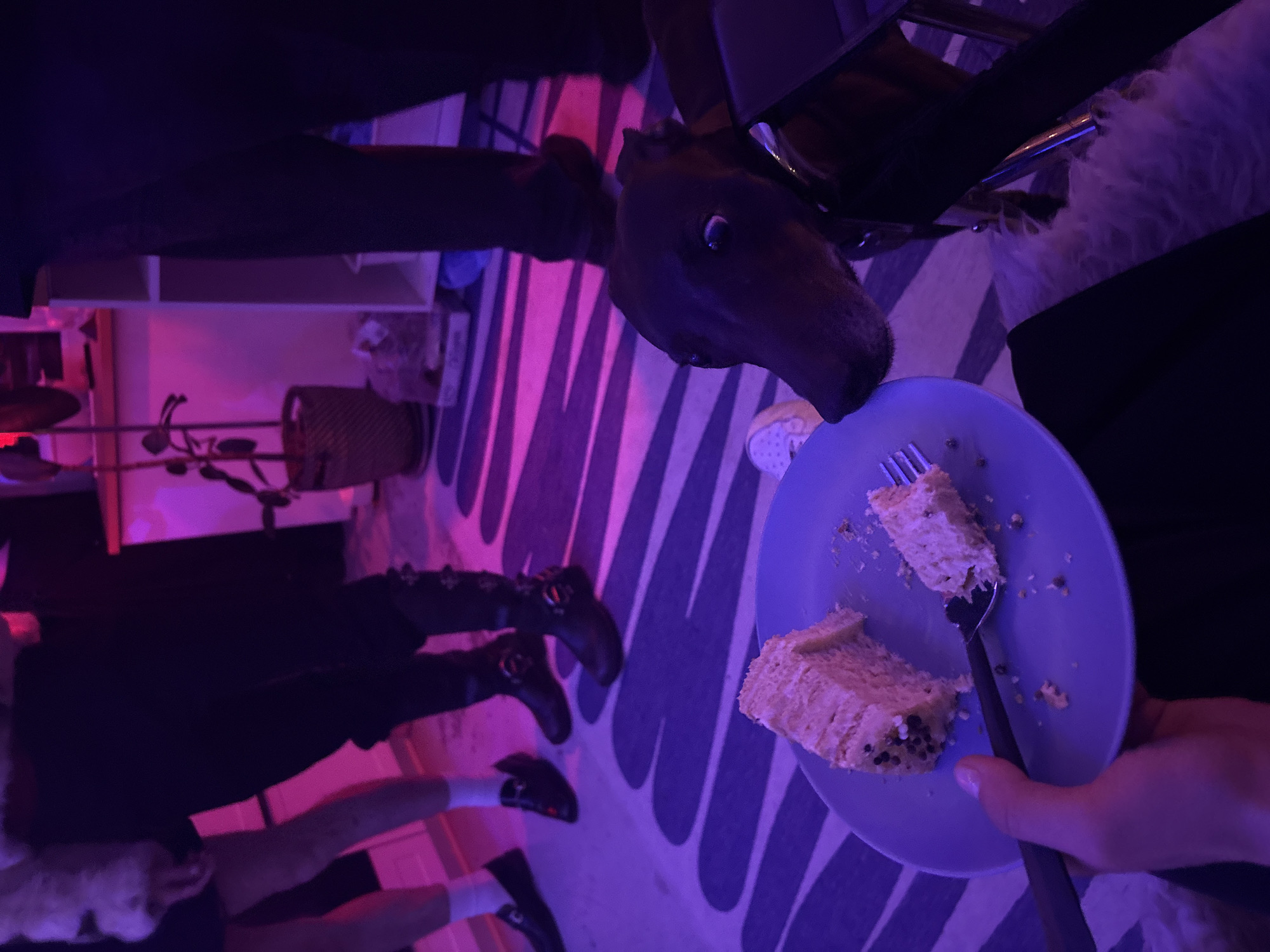 Indoor gatherings with colored lighting documented in Moscow