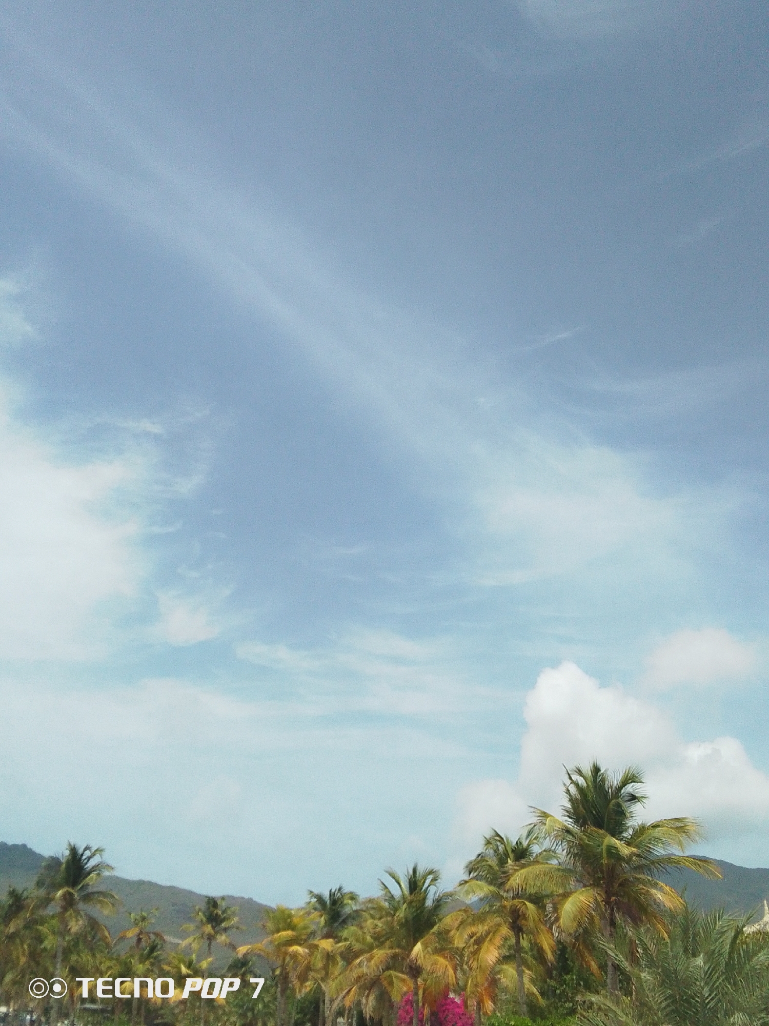 Coastal scenes documented in Pedro González, Venezuela during evening hours