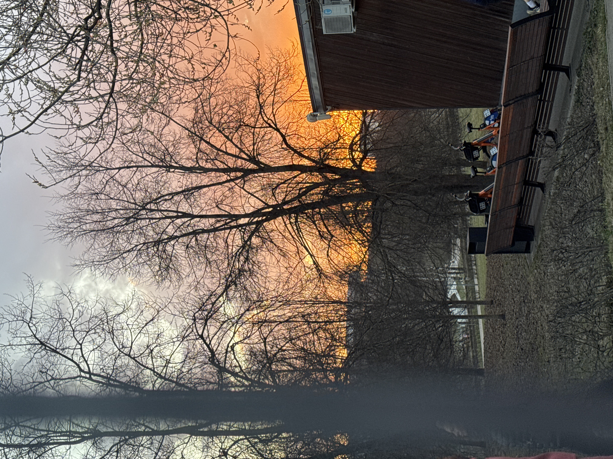 Moscow park scene captured with bare trees, local architecture