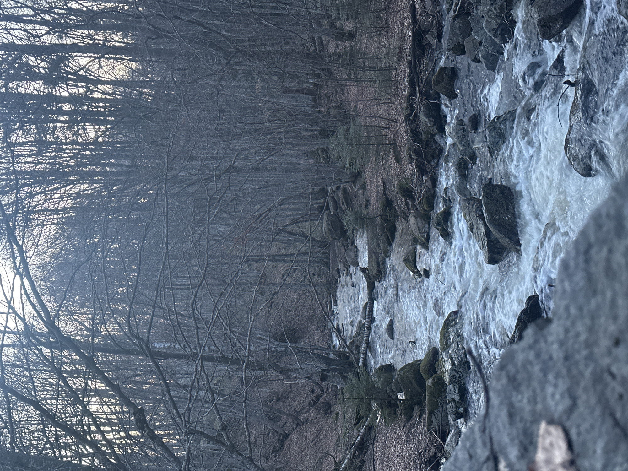 Evening nature photography session captures Sofia countryside streams, sunset