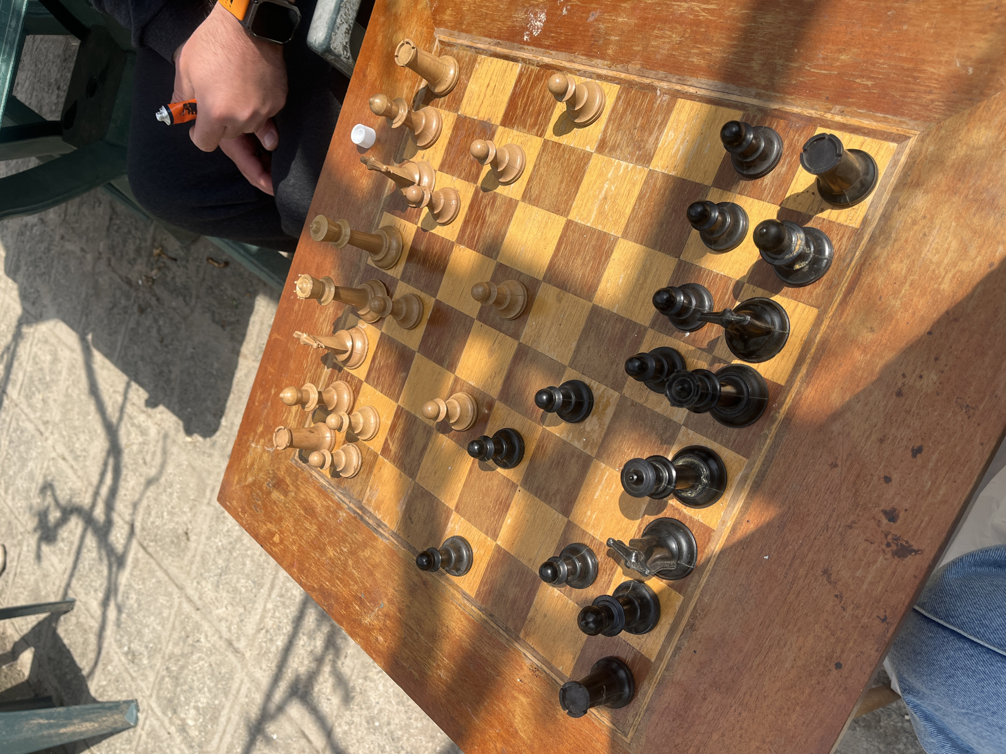 Chess game and boy with dog captured in Hrishteni