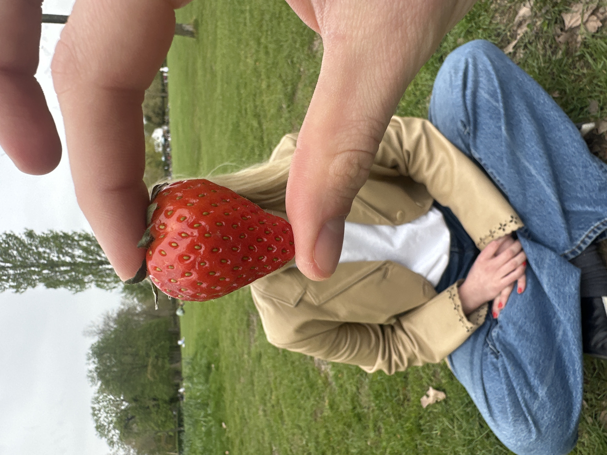 Strawberry sharing moment captured in London park