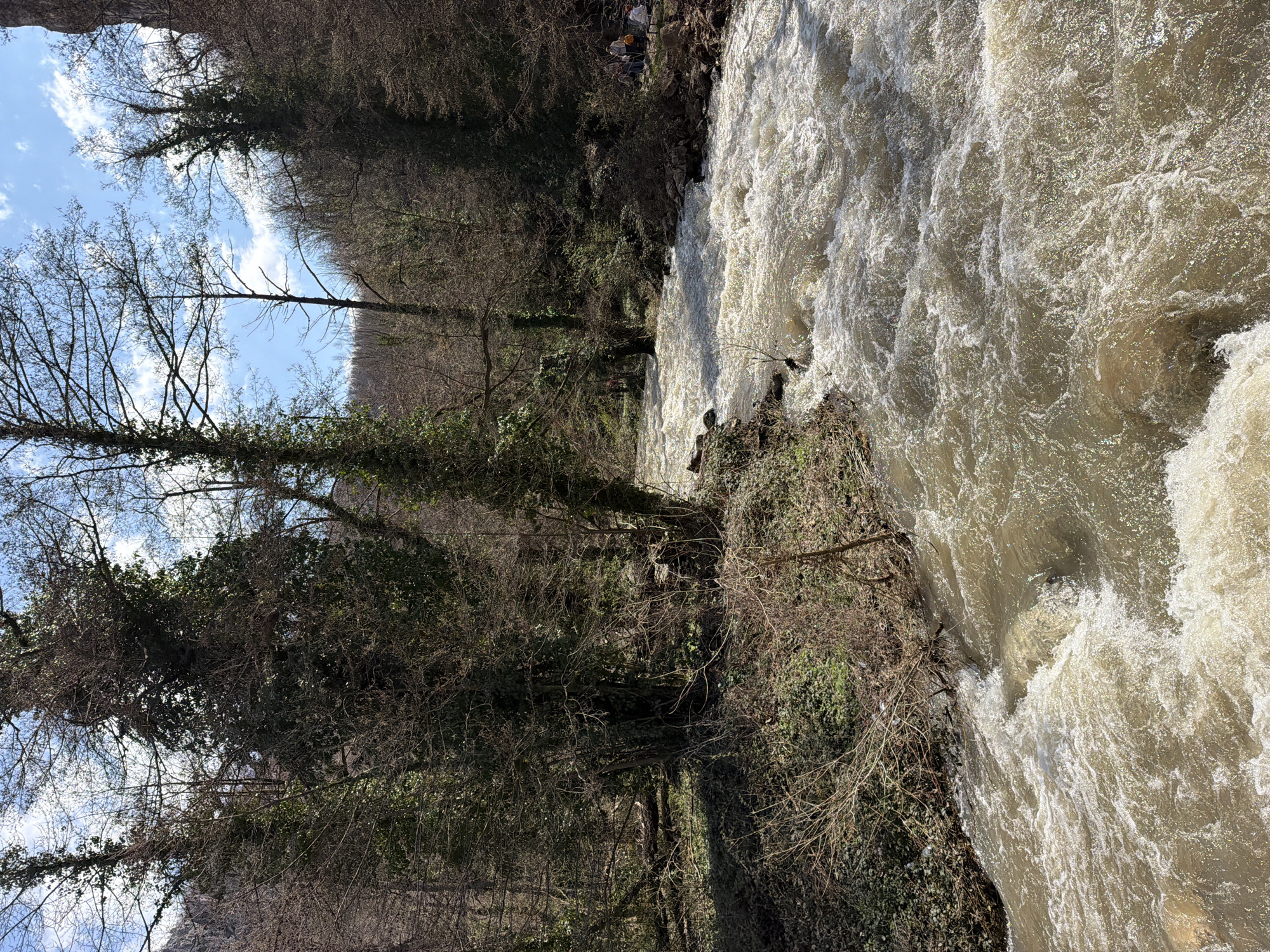 Turbulent river and cliff formations observed near Dryanovo, Bulgaria